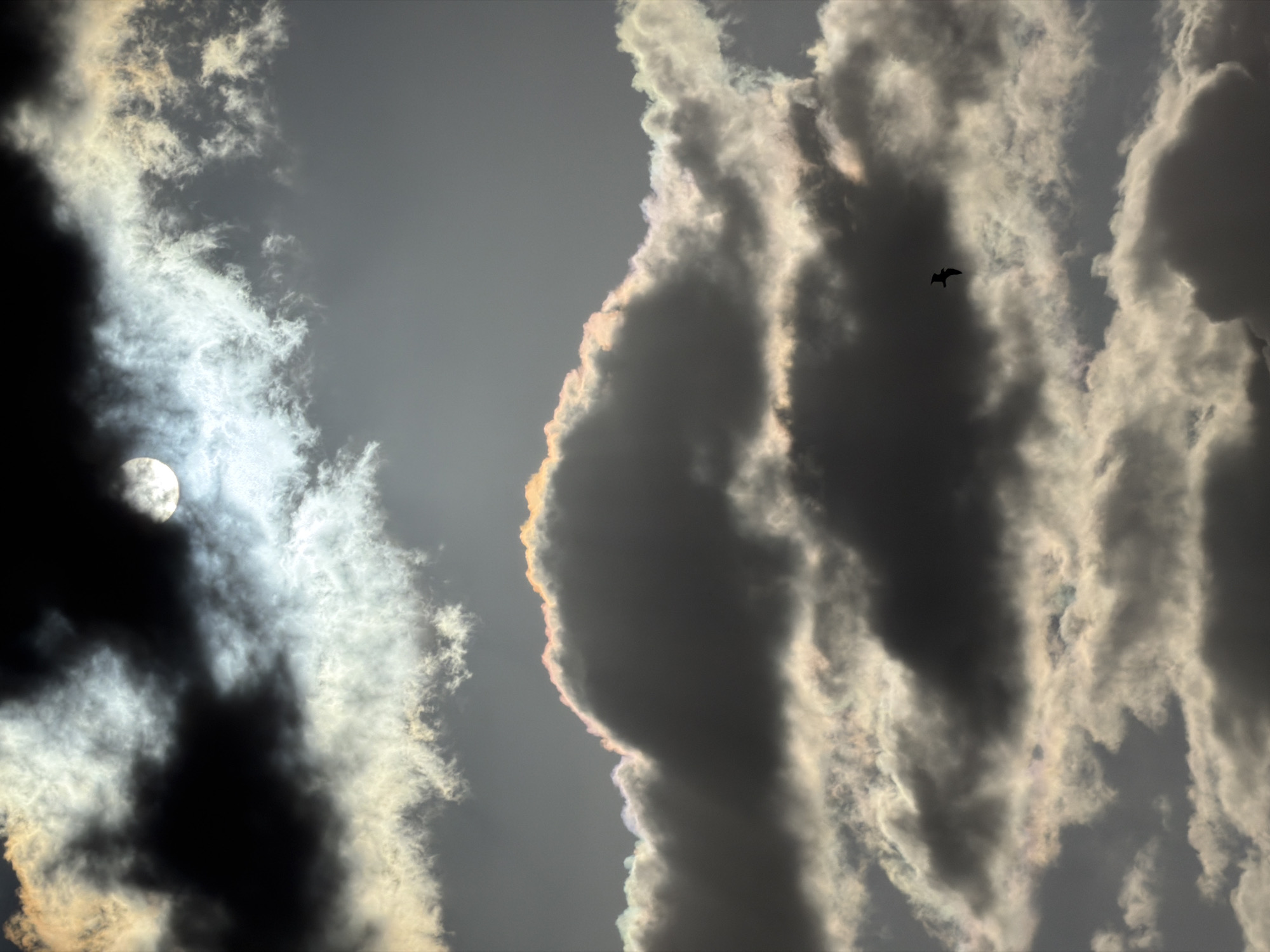 The image depicts a cloudy sky with the sun partially obscured by dark clouds on the left. The clouds are predominantly gray and white, with some iridescent edges. A small bird is silhouetted against the clouds to the right of the frame. No other people, objects, or actions are visible. The location is not discernable from the image.