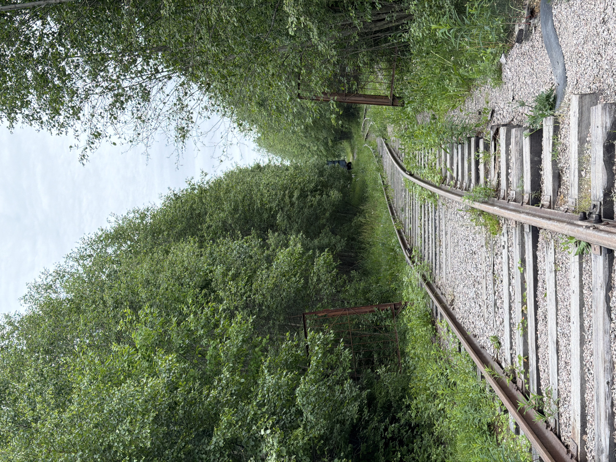The image shows a railroad track curving through a dense forest. The tracks are made of metal rails laid on wooden sleepers and covered with gravel. Overgrown vegetation, including tall grass and bushes, encroaches on the tracks. On the right side of the track, there is a rusty metal gate. In the background, a dark blue structure, possibly a train car, is visible. The sky is overcast with light clouds. The scene is located near the city of Kuznechnoye, Russia.