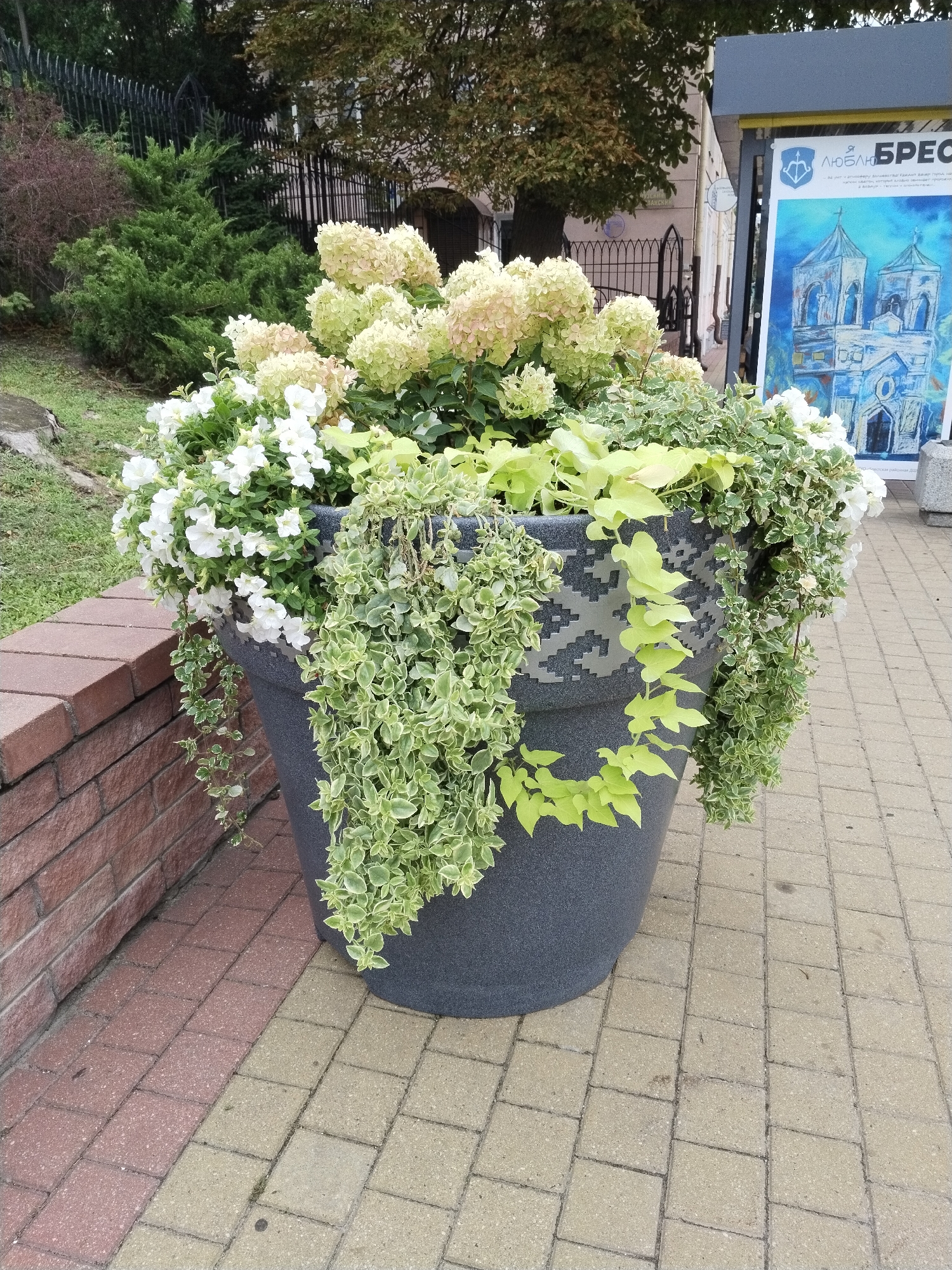 A large, dark gray planter filled with lush green and white flowering plants stands on a paved walkway in Brest, Belarus. The planter has a textured pattern around its upper portion. The walkway is made of interlocking beige and red bricks. Behind the planter, a black metal fence encloses a grassy area with trees and bushes. To the right of the planter, a display board with a blue and white illustration of a building is visible. The scene is an outdoor urban environment.