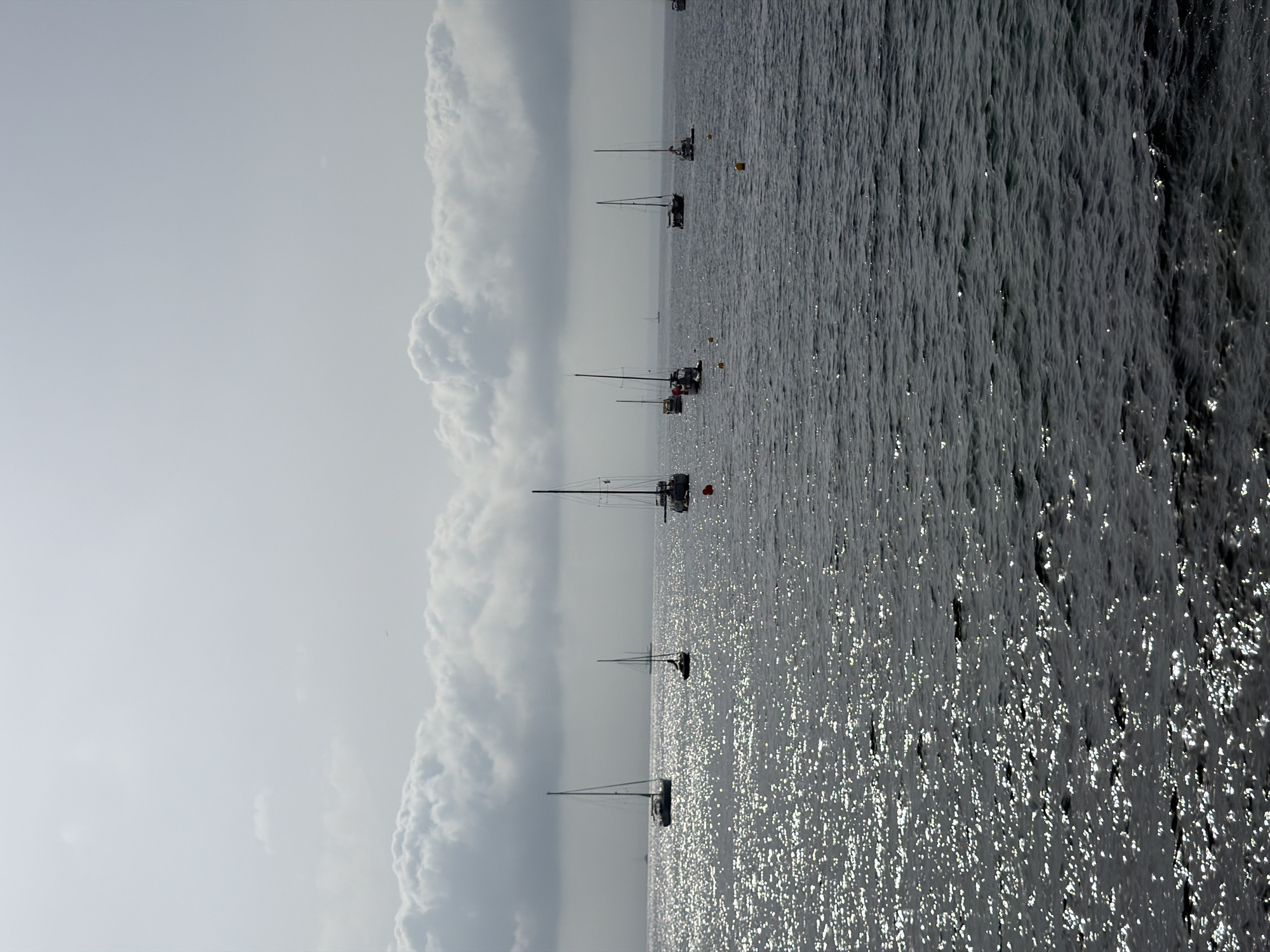The image shows a body of water with several sailboats anchored. The sky above is overcast with some patches of sunlight breaking through, creating a shimmering effect on the water's surface. The scene appears to be a coastal area, likely in Calvià, Spain, given the presence of sailboats, typical of Mediterranean harbors. There are no people visible in the image, and the sailboats are stationary, suggesting a calm day at anchor. The environment is tranquil, with the gentle movement of the waves and the distant cloud formations contributing to a serene atmosphere.
