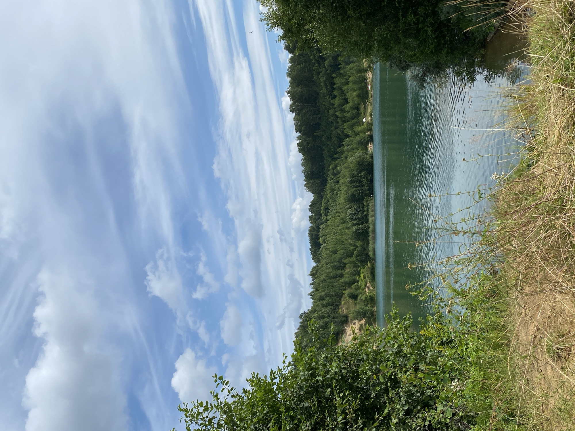 The image depicts a serene natural landscape at the Plintovka Lake in Plintovka, Russia. The foreground is dominated by dry grass and a sandy bank, leading the eye towards the shimmering turquoise water of the lake. The lake itself is calm, reflecting the blue sky above. Across the water, a dense, green forest covers rolling hills. The sky is a vibrant blue, dotted with scattered white clouds, some of which appear wispy and streaky, suggesting a light breeze. On the far shore, a few small figures are visible, possibly picnickers or swimmers, along with a couple of white tents, indicating a recreational area. The overall impression is one of a peaceful, sunny day in a picturesque natural setting.