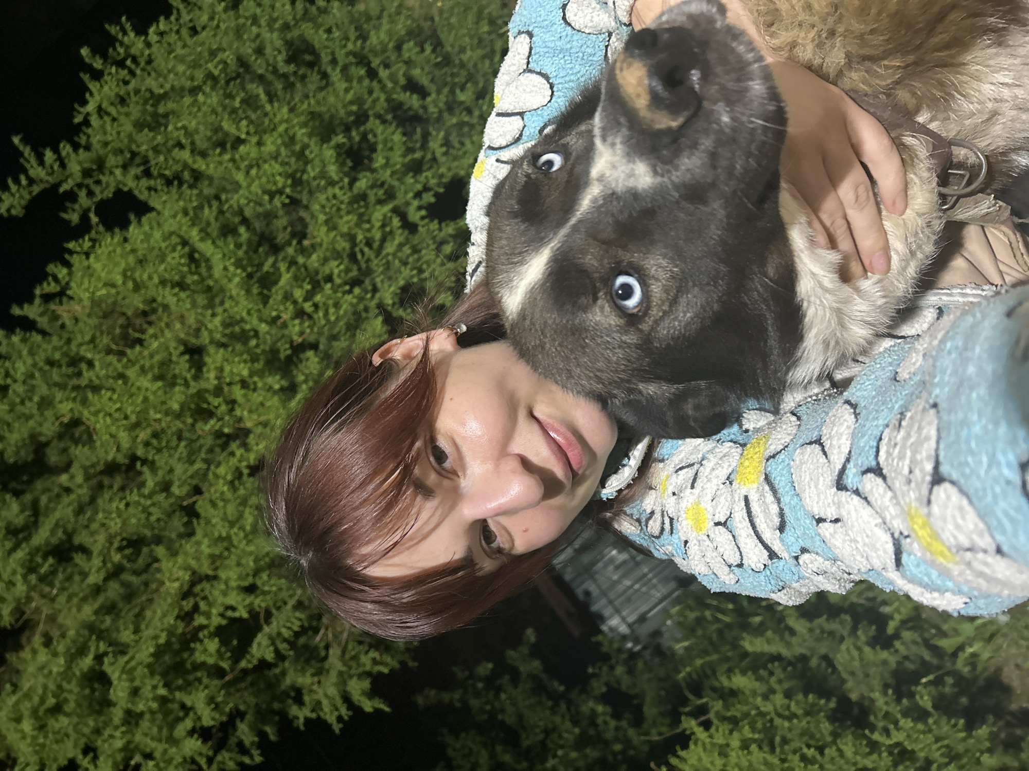 A woman with reddish-brown hair is holding a dog with distinctive blue eyes. They are positioned in front of a green bush or tree, likely outdoors at night or during a time with very low light. The woman is wearing a patterned, possibly floral, top. The dog has a black and brown coat with white markings on its face.