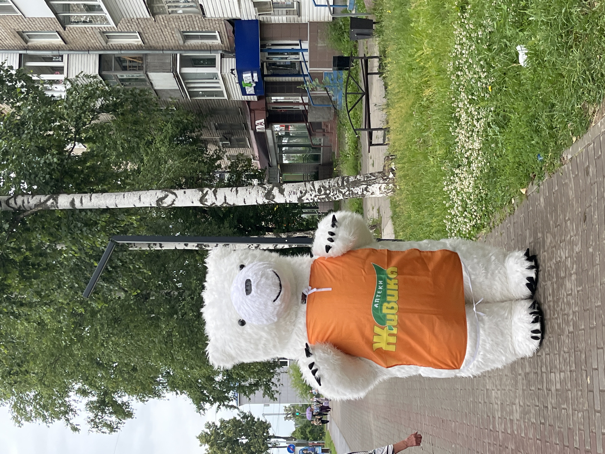A large, white, furry mascot costume resembling a polar bear stands on a brick sidewalk in Chaikovsky, Russia. The mascot is wearing an orange apron with yellow Cyrillic lettering that reads "АПТЕКИ Живика" (Pharmacy Zhivika). The bear is facing forward with its mouth in a smile. Behind the bear, a sidewalk leads to a street with a traffic light and several people walking with umbrellas. To the right of the sidewalk is a grassy area with a park bench and some trees. A multi-story brick building with balconies is visible in the background. The sky is overcast.