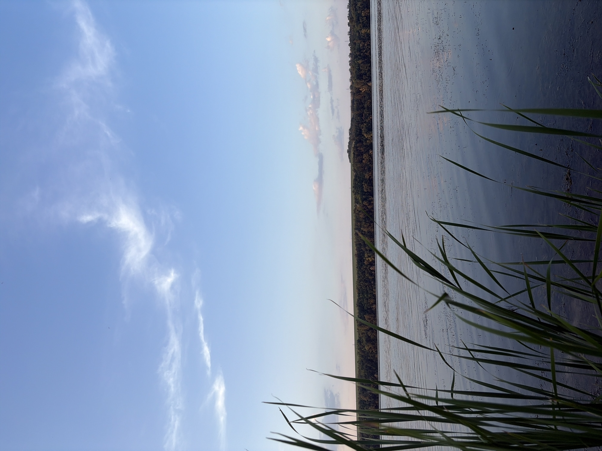 This image captures a serene lakeside scene with reeds in the foreground. The sky is a clear blue, with wispy white clouds scattered across it. A dense line of trees borders the opposite shore of the lake, creating a natural backdrop. The water's surface is calm, reflecting the sky and the distant trees. The overall impression is one of tranquility and natural beauty. The location is the city of Oxentea, Moldova.