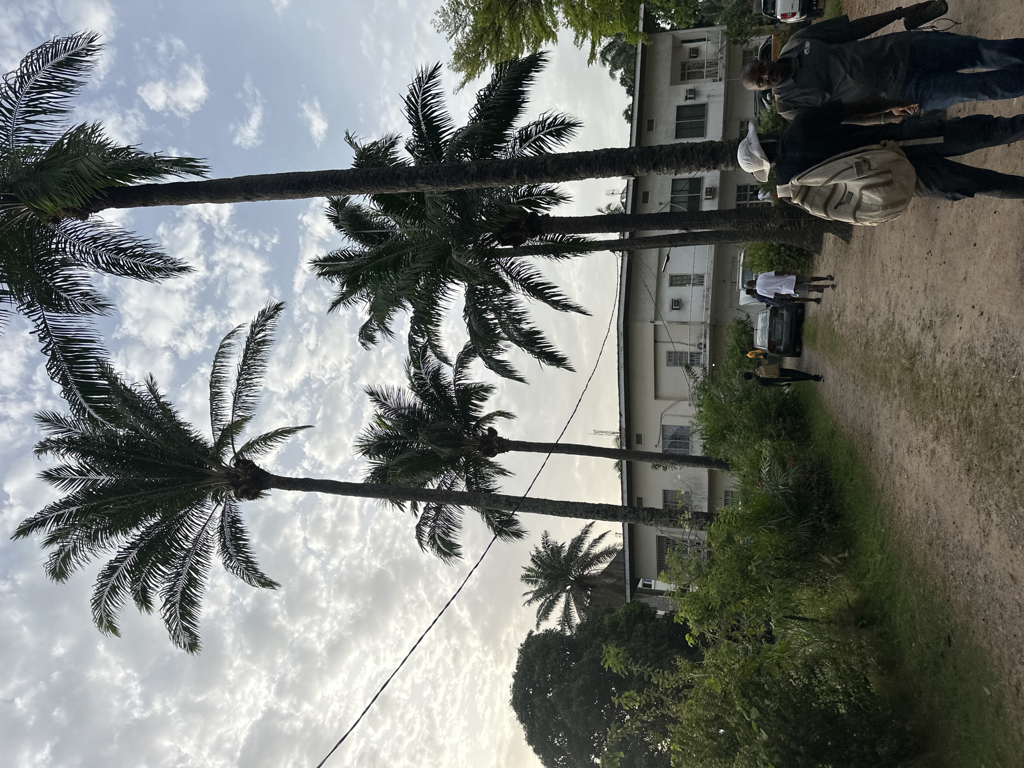 The image shows a street scene in Lagos, Nigeria. Palm trees line a dirt road. On the right of the road is a multi-story building. Several people are walking along the road, including two men in the foreground, one carrying a bag. A few cars are parked near the building. The sky is partly cloudy. A power line is visible diagonally across the image. The scene is lit by daytime sunlight.