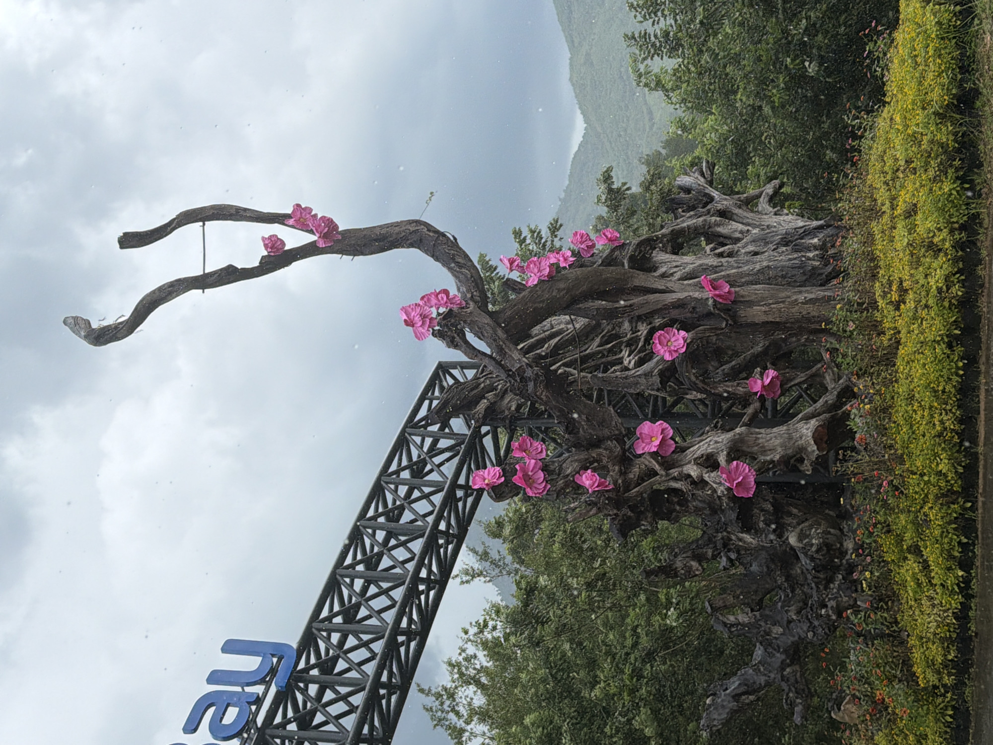 The image depicts an outdoor art installation in Khanh Vinh, Vietnam. The primary subject is a large, gnarled tree sculpture adorned with vibrant pink artificial flowers. The sculpture is positioned in front of lush green foliage and a backdrop of rolling hills under a cloudy, overcast sky. To the left of the sculpture, a section of a metal truss structure is visible, supporting large blue lettering that reads "Bay". The ground in front of the sculpture is covered with low-lying green plants and scattered colorful flowers. The overall impression is one of a whimsical, nature-inspired public art display.