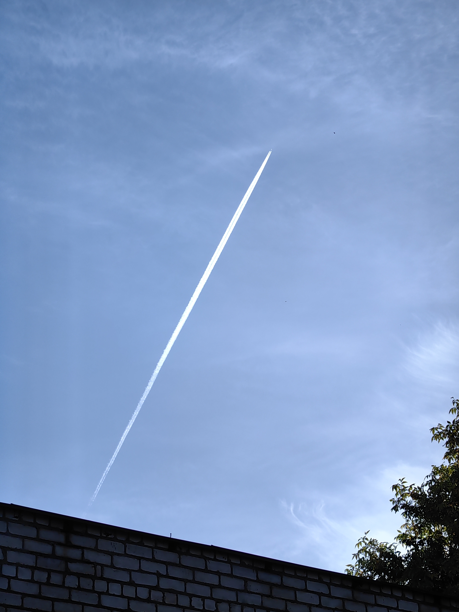 An airplane contrail stretches diagonally across a clear blue sky in Fanipal, Belarus. The contrail starts in the lower left quadrant of the image and extends towards the upper right. A small black dot, possibly a bird or another distant aircraft, is visible in the upper right portion of the sky, slightly above and to the right of the contrail's end. The lower edge of the image is occupied by the top of a brick wall, which appears to be the roofline of a building. To the right of the contrail and above the brick wall, a portion of a dark green tree with leaves is visible. The sky is mostly clear with some wispy clouds, particularly in the upper right and far left.