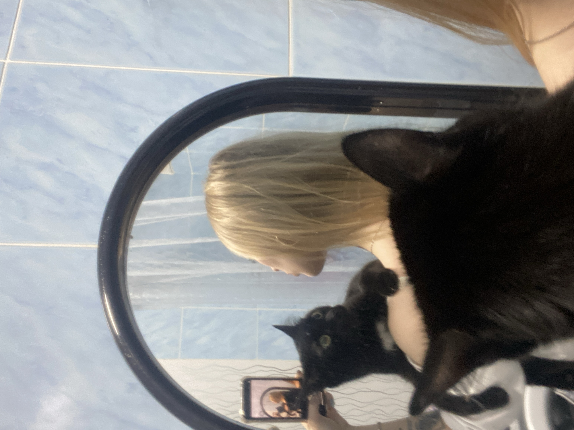 A reflection is captured in a round, black-framed mirror. The reflection includes a woman with blonde hair, a black cat, and a cell phone held by the woman. The background behind the mirror appears to be a tiled wall, predominantly blue in color. The cat's head is positioned prominently in the foreground, partially obstructing the woman's face. The woman is holding a cell phone, suggesting she's taking a picture.