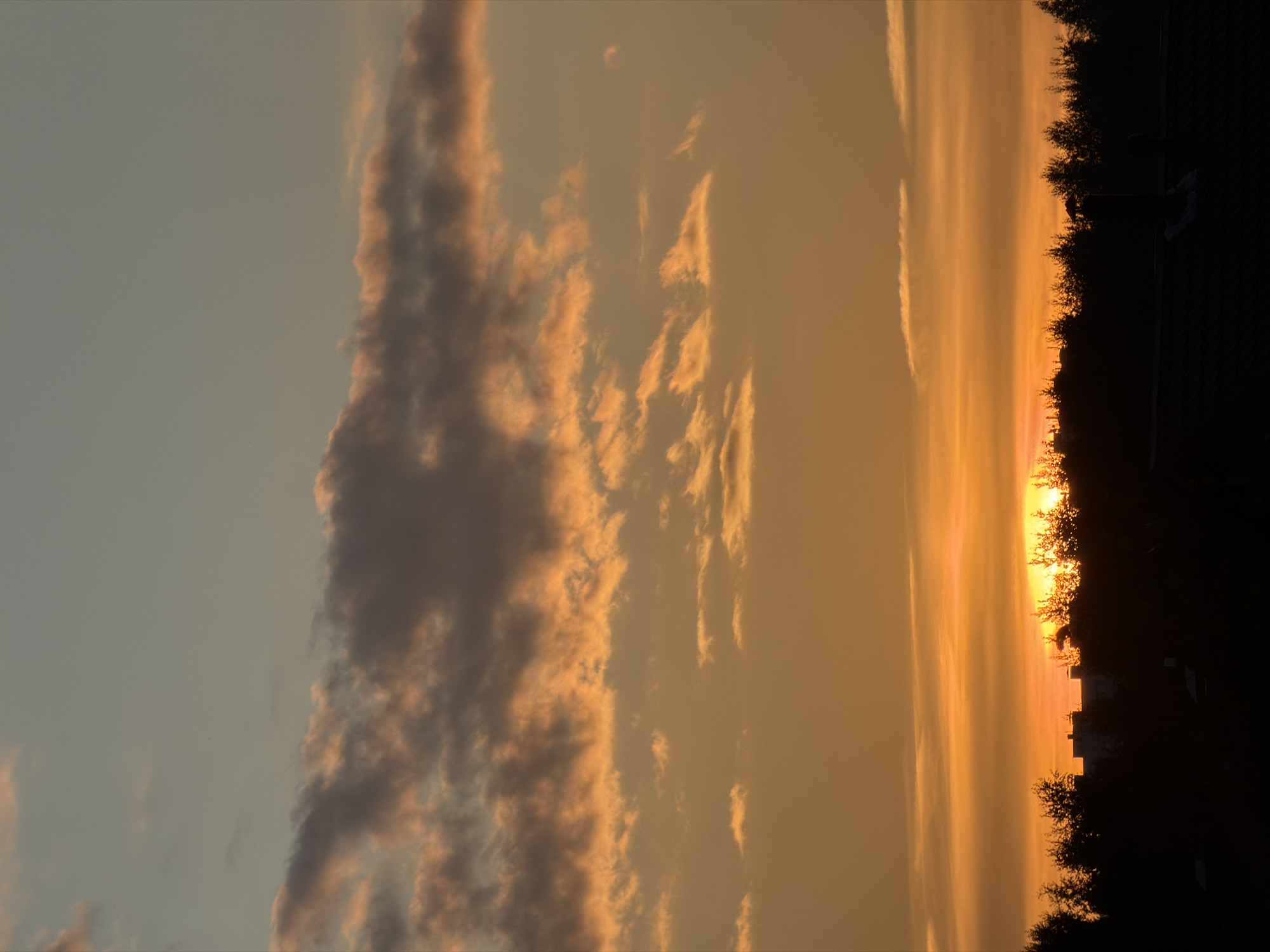 A silhouetted treeline, including buildings and rooftops, is visible against a vibrant sunset. The sky transitions from a pale blue at the top to a deep orange near the horizon, with scattered clouds tinged with pink and gold. The image depicts a residential area at dusk.