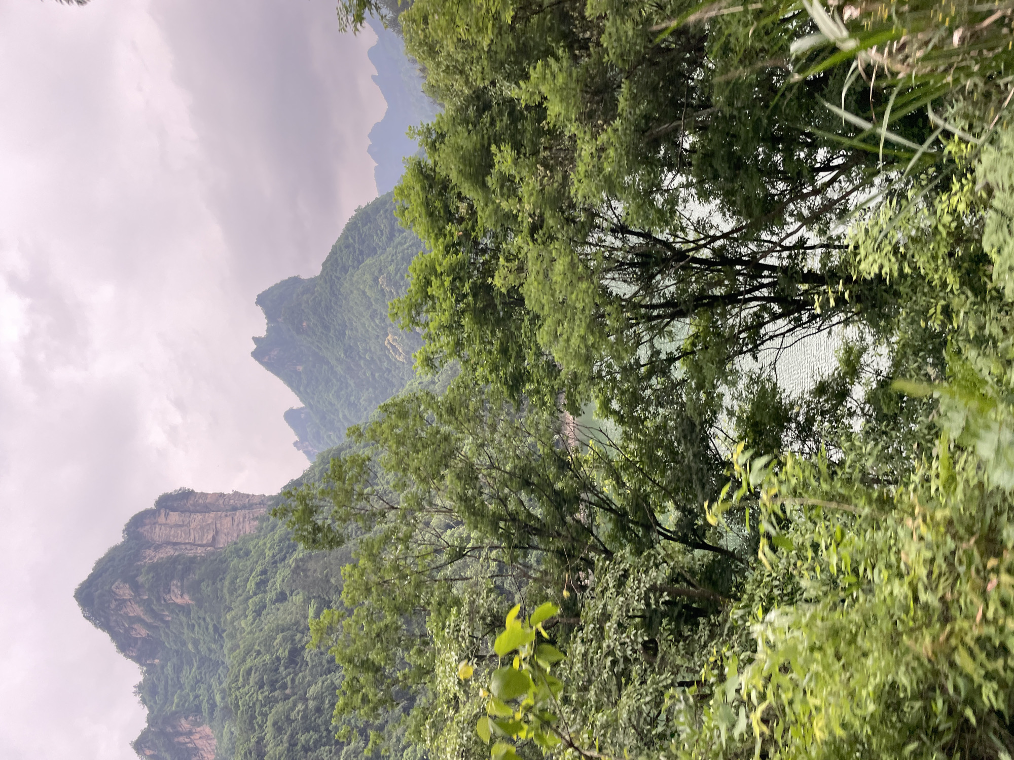 A landscape shot shows mountains, trees, and cloudy skies in Wulingyuan, China. The mountains are green and rocky, with distinct peaks rising into the cloudy sky. In the foreground are trees, their branches and leaves filling the view. A body of water can be seen in the distance through the trees. The overall scene is a mix of natural elements creating a mountainous landscape.