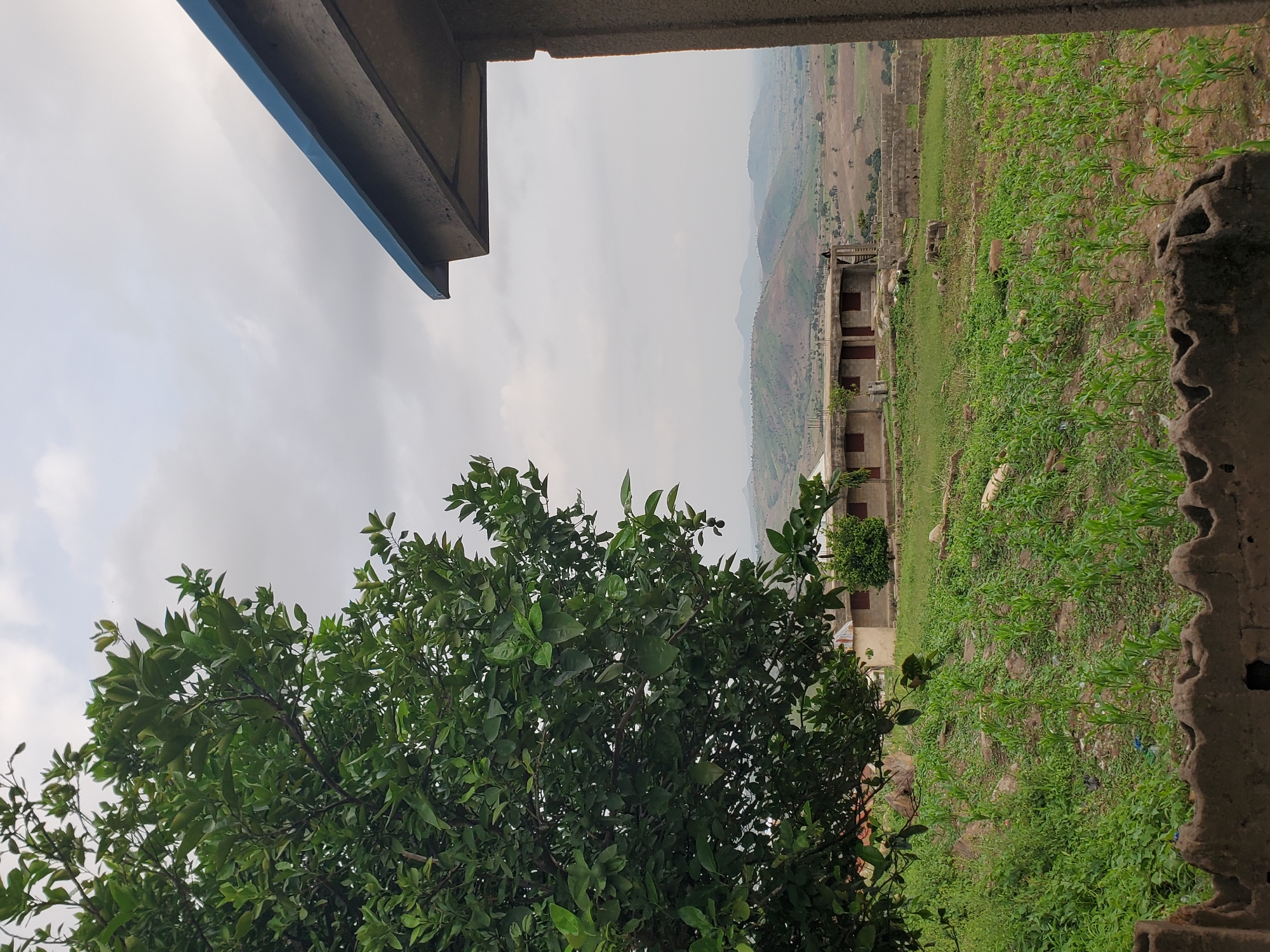 A medium shot shows a landscape view of a rural area with a building and surrounding vegetation. In the foreground, a large green tree with dense foliage is on the left, partially obscuring the view. In the center of the image, a long, low-rise building with a flat roof and red-framed windows is visible. In front of the building, there is a field of young green plants, possibly corn. The ground is uneven and covered with grass and dirt. In the background, rolling hills covered with sparse vegetation stretch towards the horizon under a cloudy sky. A portion of an overhead structure with a blue trim is visible in the upper right corner. The scene appears to be in a rural setting, possibly a village, with a temperate or warm climate. There are no people clearly visible in the image.