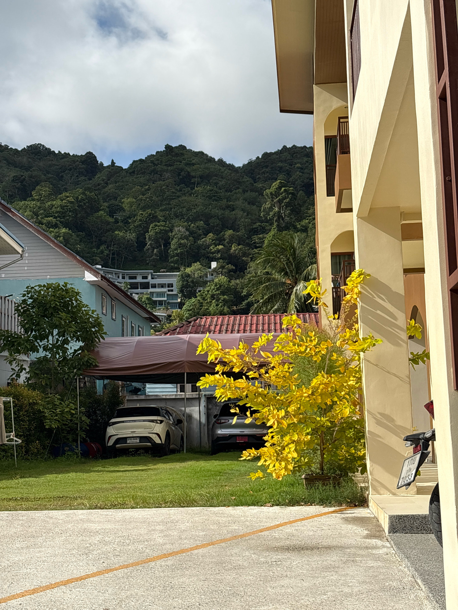 The image depicts an outdoor scene in Choeng Thale, Thailand, likely a residential area. In the foreground, a concrete driveway with a yellow painted line runs horizontally across the bottom of the frame. To the right, a portion of a light-colored building with arched windows and dark brown trim is visible. Adjacent to the building, a motorcycle with a license plate is parked. The middle ground features a lush green lawn with a small, bright yellow tree. Behind the tree, two cars are parked under a brown canopy supported by poles. One car, a white SUV, is facing away from the camera, and another, a dark SUV, is partially visible. A light blue house with white trim and several windows is situated to the left of the canopy. In the background, a densely forested hillside rises, dotted with buildings. The sky is overcast with scattered clouds.