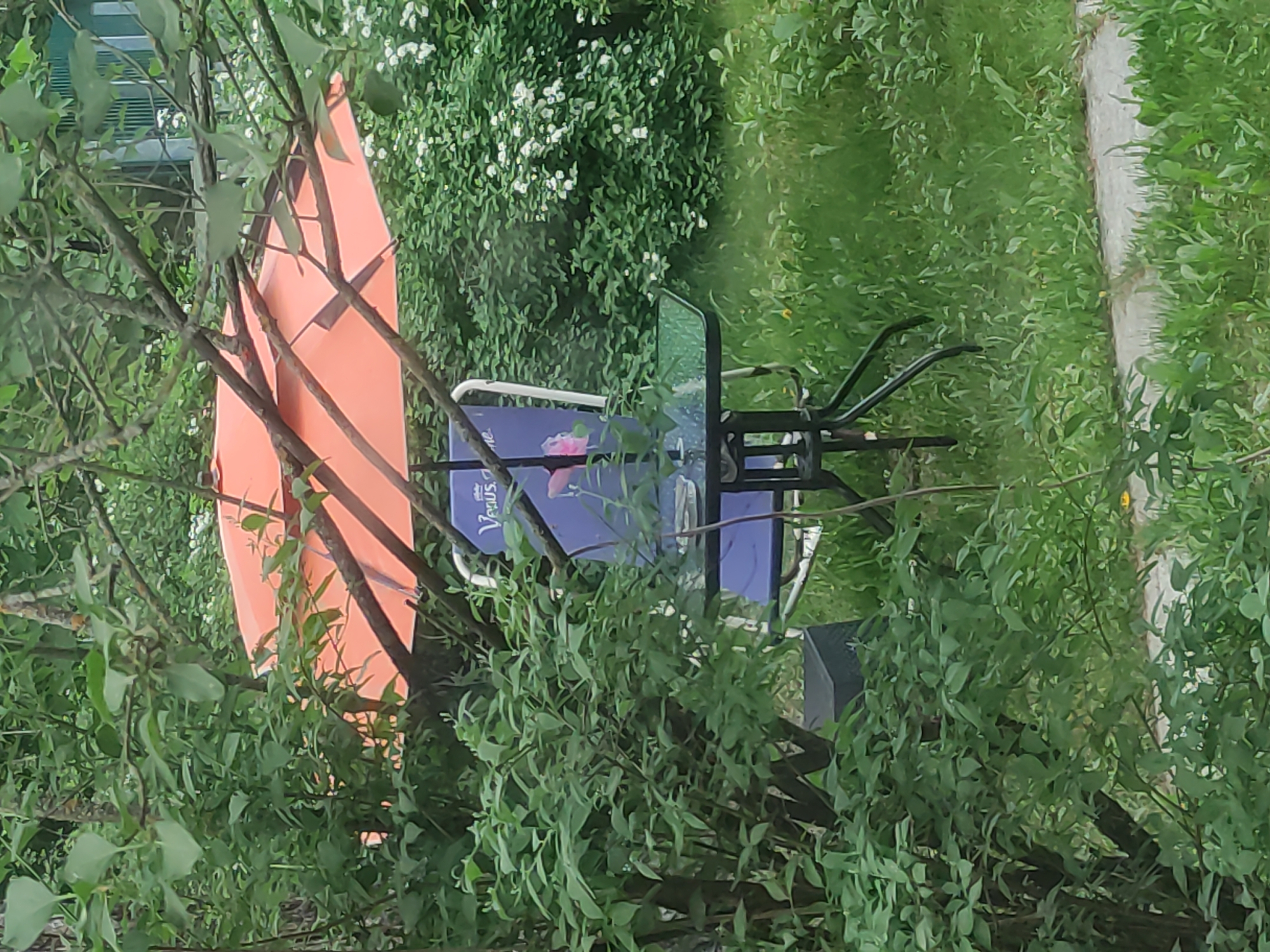 The image depicts an outdoor scene in Kratovo, Russia, showing a cluttered backyard environment. A bright orange canoe stands vertically, partially obscured by leafy branches. A table with a dark blue cover and a logo (possibly a beverage brand) is visible in the middle ground, along with an adjacent chair with black metal framing. The background includes dense green foliage, white flowering bushes, and a strip of concrete pavement or walkway. Overhanging branches dominate the foreground, partly obscuring the view of the scene.