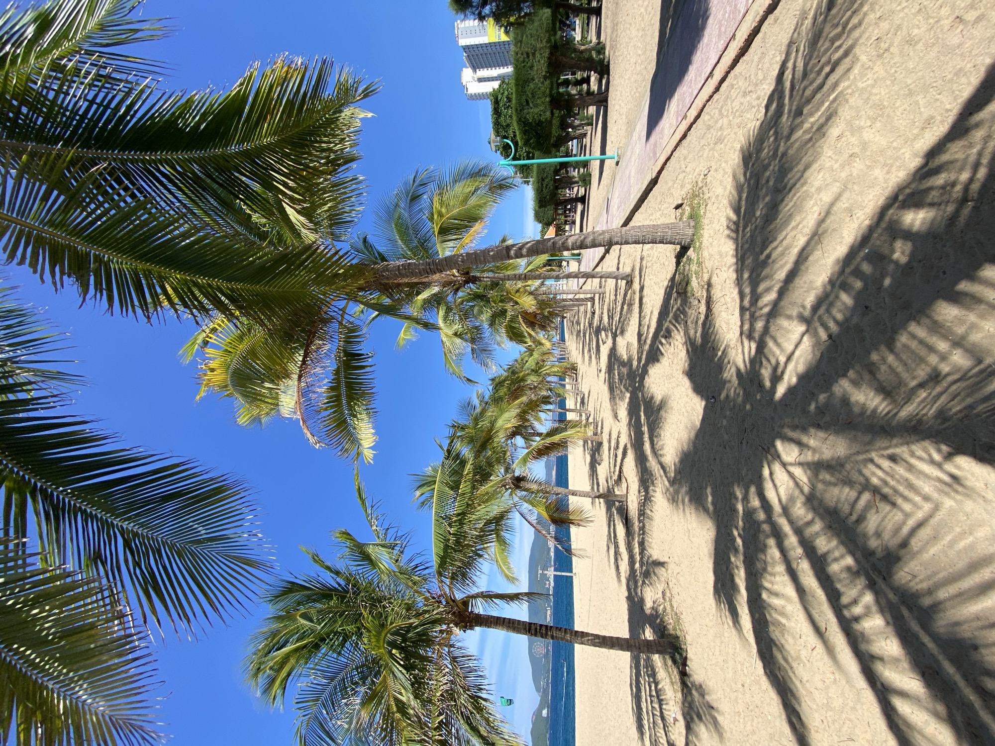 A bright, sunny day unfolds on a sandy beach in Nha Trang, Vietnam, with a clear blue sky overhead. The foreground is dominated by the long, distinct shadows of palm fronds cast across the golden sand. A line of palm trees, with their green fronds and textured trunks, stretches into the distance along the edge of the beach. To the right of the palm trees, a paved walkway runs parallel to the beach, bordered by manicured trees and a bright teal streetlamp. In the background, the calm blue water of the sea meets the sandy shore, with a distant view of a kiteboarder and hills with buildings rising behind them. A tall, white building with multiple floors is visible on the right side of the frame, suggesting an urban backdrop to this tropical scene.