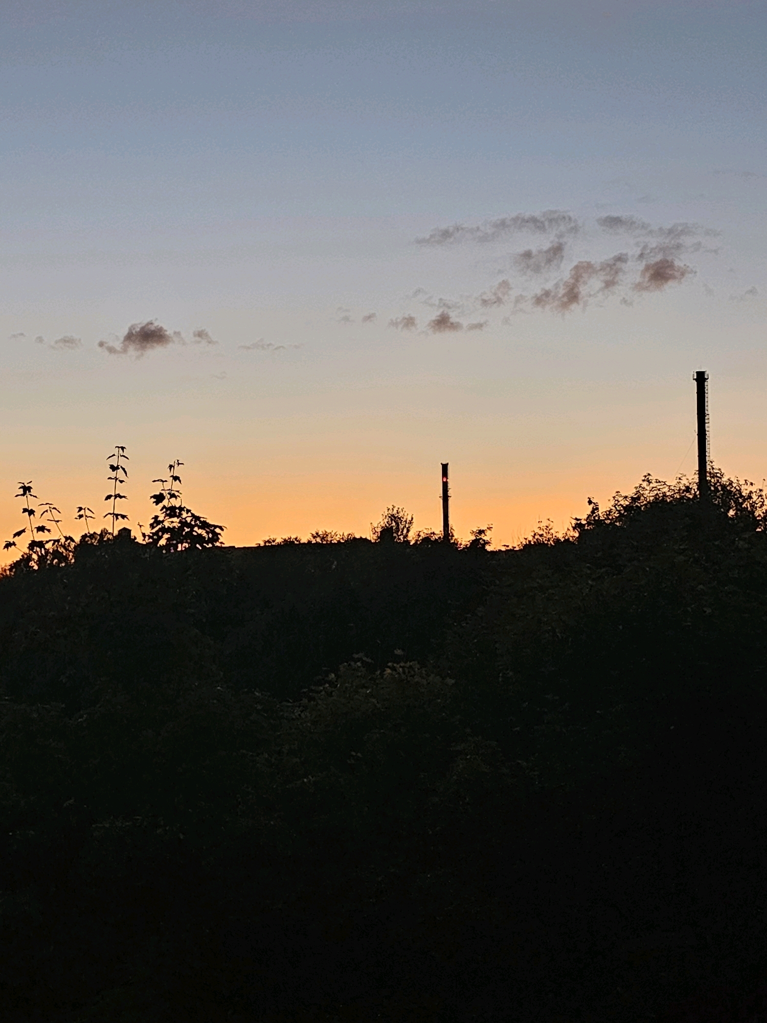 The image depicts a dusky landscape with silhouetted vegetation and two industrial smokestacks against a gradient sky. The sky transitions from a pale blue at the top to a warm orange hue near the horizon. Wispy clouds are scattered across the upper portion of the sky. In the foreground, a dense, dark mass of foliage forms a silhouette, obscuring the ground. Two tall, thin smokestacks are visible, one slightly to the left of center and another to the right. The left smokestack appears to have a faint red light at its upper section. Thin, spiky silhouettes of trees or bushes rise above the main dark vegetation line, particularly on the left side of the image. The overall impression is one of an industrial area at dusk, possibly on the outskirts of a city. The location is identified as Khimki, Russia.