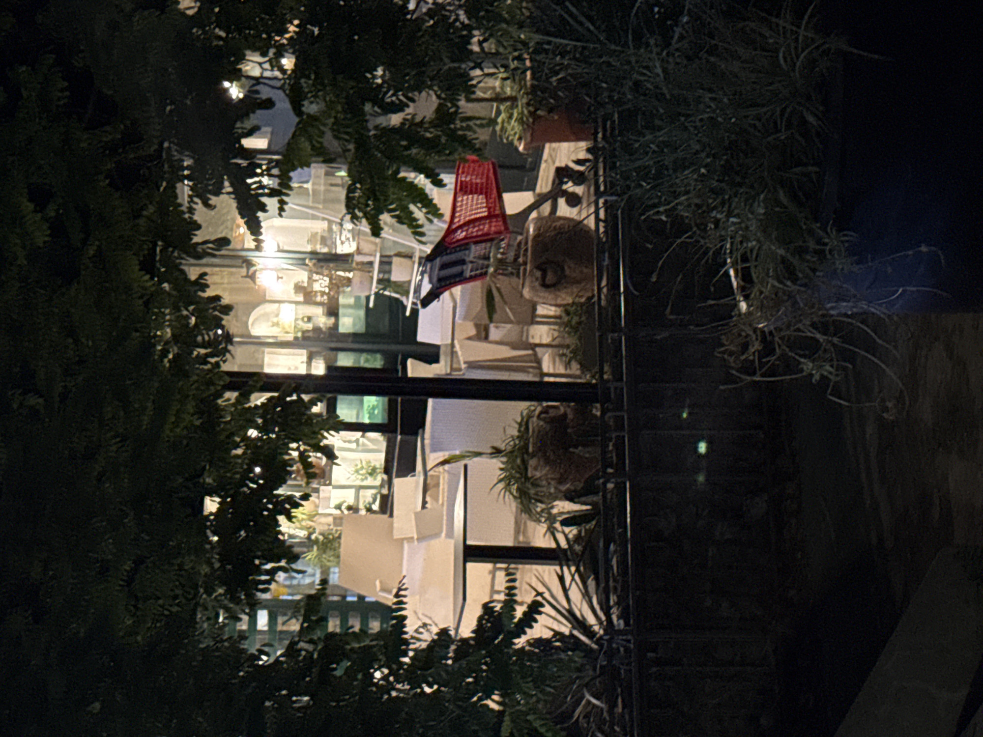 This is an exterior nighttime photograph of an outdoor seating area of a restaurant or cafe, possibly located in Budva, Montenegro. The scene is framed by dark, leafy branches and foliage in the foreground, obscuring the upper portion of the view. Beyond the foliage, tables and chairs, some appearing to be white wicker or plastic, are visible through large windows. The interior of the establishment is dimly lit, with some ambient light illuminating the furniture and possibly shelves with plants or decorative items.
In the middle ground, a red shopping cart is prominently positioned, resting on its wheels. It appears to be situated next to or within a large, textured planter pot containing some greenery. Another terracotta-colored planter pot with similar plant life is visible to the right of the shopping cart. A low, dark fence or railing runs horizontally across the lower portion of the image, separating the seating area from a darker, unlit space in the immediate foreground where more vegetation and a dark blue planter pot can be seen. The overall atmosphere is one of quiet stillness, with the lighting suggesting it is after closing hours. There are no people visible in the frame.