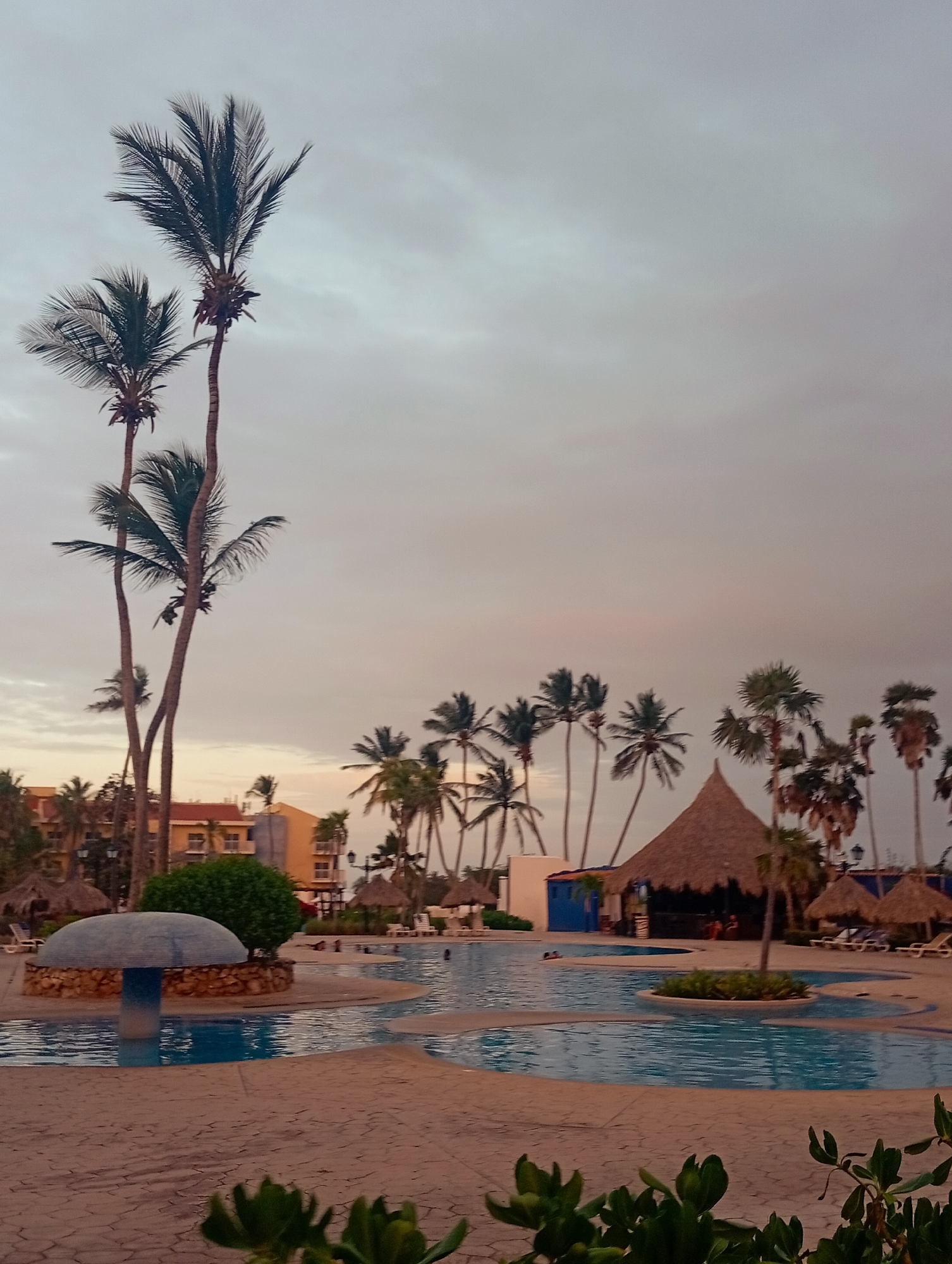 The image shows a resort pool scene at Playa El Agua, Venezuela, under a cloudy sky with a hint of sunset. In the foreground, there are plants and a mushroom-shaped fountain. A multi-tiered pool occupies the middle ground, with several people swimming. Palm trees of varying heights line the perimeter of the pool area. A thatched-roof structure, possibly a bar or lounge, is situated near the pool. In the background, a multi-story building is visible. Deck chairs and more thatched umbrellas are placed along the pool.