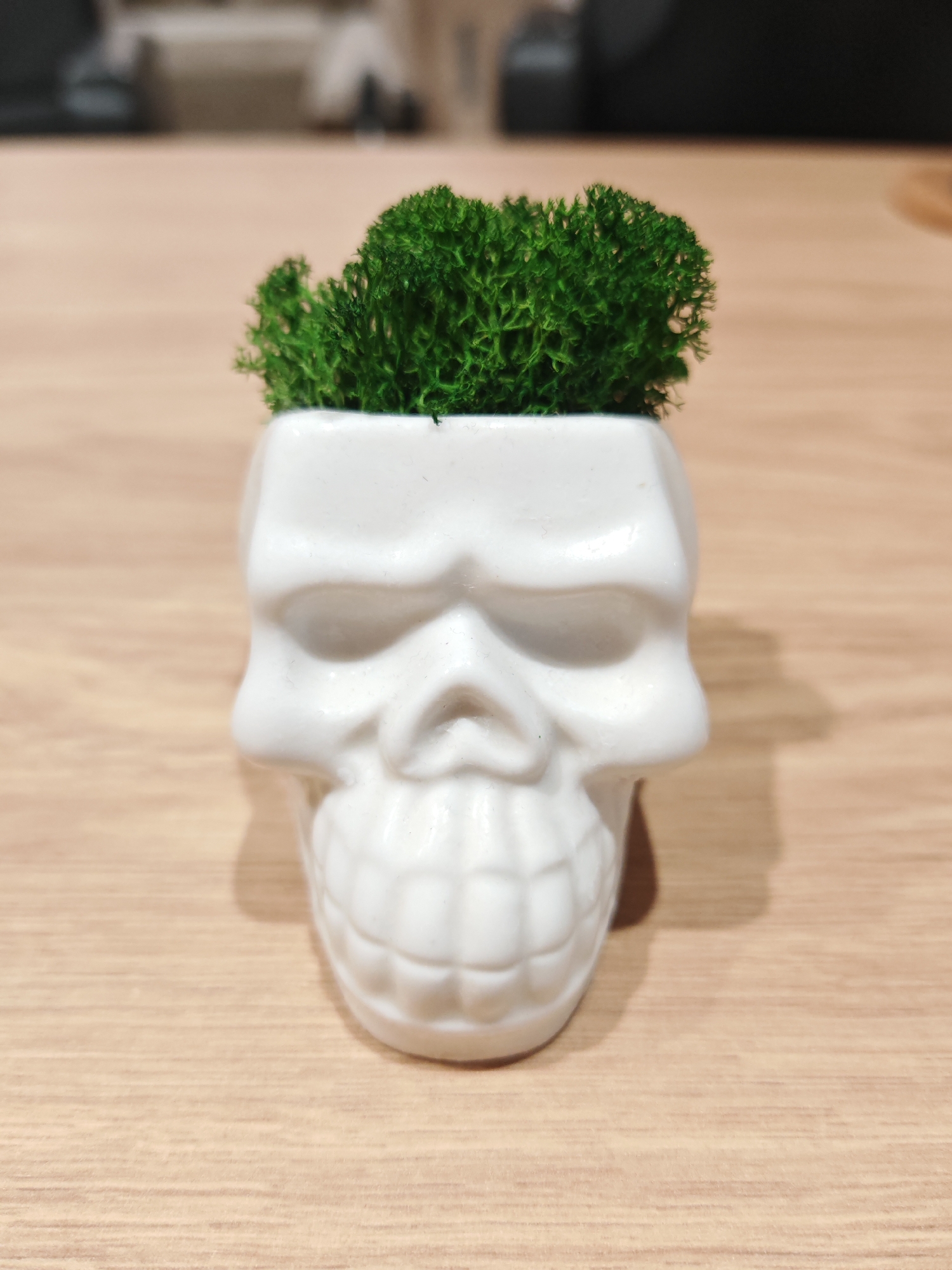 A white ceramic skull-shaped planter, filled with bright green moss, sits on a light-colored wooden surface. The planter has detailed features, including eye sockets, a nose cavity, and teeth. The moss is densely packed and extends slightly above the rim of the skull. The background is blurred, showing indistinct shapes of furniture and a wall, suggesting an indoor setting. The overall lighting is soft. This image was captured in Plovdiv, Bulgaria.