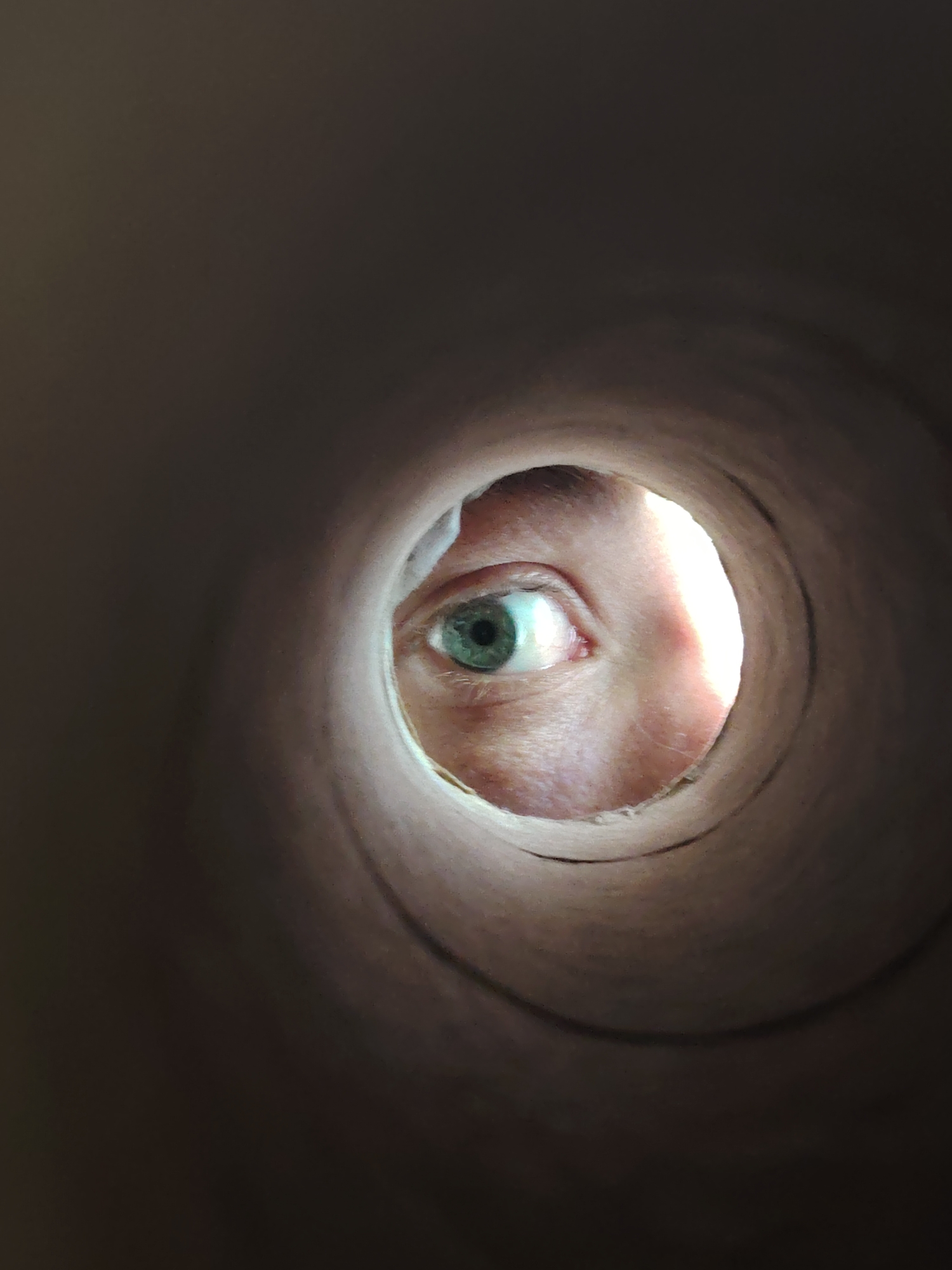 An eye peers through a cardboard tube. The eye is looking slightly to the left of the camera. The iris is a light green color, and the pupil is dark. The skin around the eye is fair and slightly flushed. The background is a dark brown cardboard tube. This image was taken in the city of Chaikovsky, Russia.