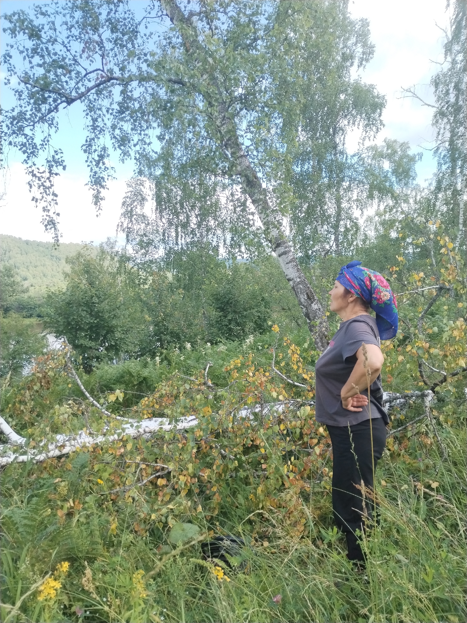 A woman in a grey t-shirt and black pants stands in a natural environment, looking up and to the right. She wears a blue headscarf with a floral pattern. The scene features abundant greenery, including trees with visible white bark and yellowing leaves, as well as tall grass and ferns. A fallen tree lies horizontally in the foreground, its branches reaching into the frame. In the background, a body of water and a forested hill are visible. The sky is partly cloudy. The image appears to have been taken in Lagerevo, Russia, based on the provided context.