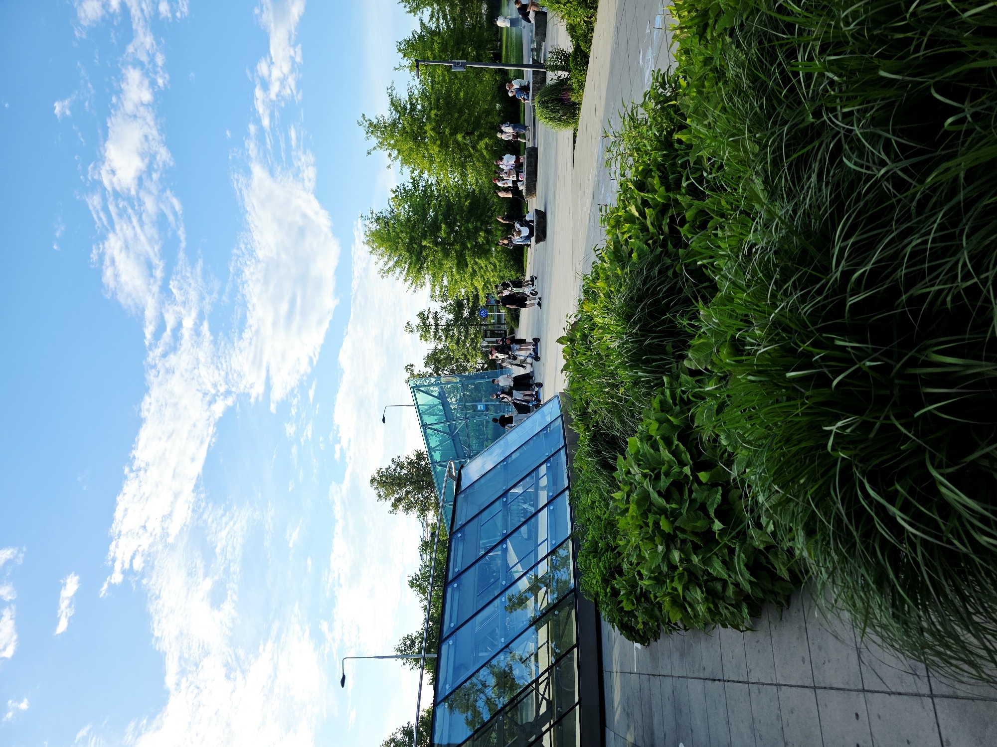 This image depicts a public outdoor area in Warsaw, Poland, likely a park or a plaza. In the foreground, lush green vegetation, including tall grasses and broad-leafed plants, creates a vibrant border along a paved walkway. Beyond the greenery, a modern glass structure with blue-tinted panes is visible, reflecting the sky and surrounding trees. This structure appears to be an entrance or a part of a building. Further into the scene, a paved open area is populated by several individuals. Some are riding electric scooters, while others are standing or seated on benches and stone-like structures, engaged in casual conversation or rest. Tall green trees with full canopies dot the background, interspersed with streetlights. The sky above is a bright blue, with scattered white clouds, suggesting a pleasant day. The overall atmosphere is one of a contemporary urban recreational space.