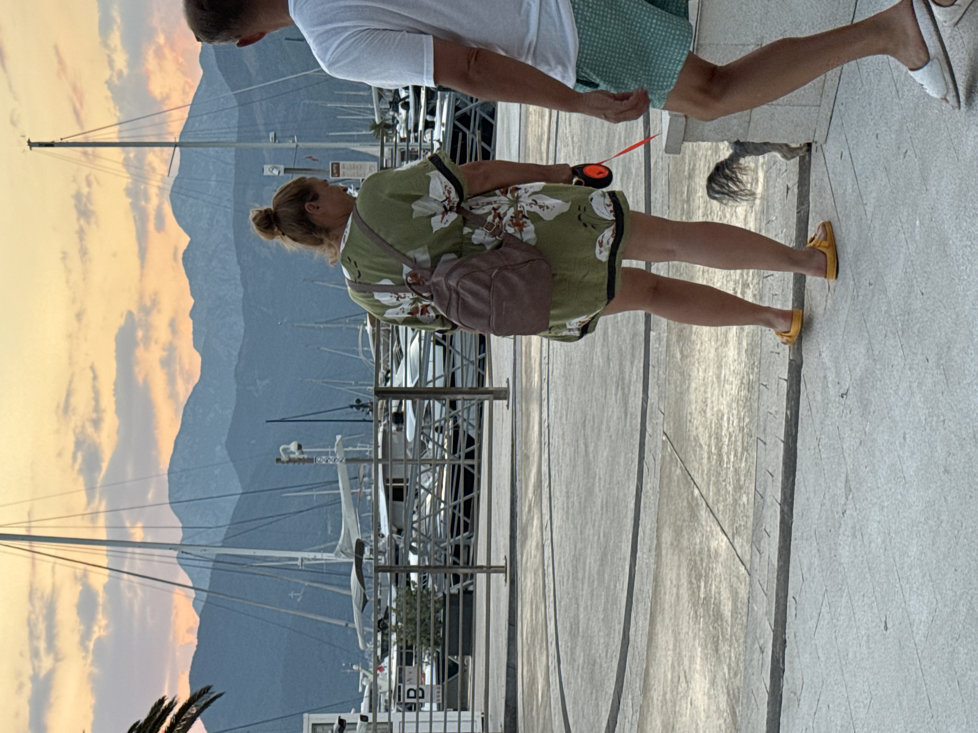This media file shows two people in an outdoor setting, likely a marina, given the presence of numerous boats in the background and masts. The image is oriented vertically with the top of the frame on the left.
The primary subject is a woman walking from left to right in the frame. She has blonde hair pulled back in a bun and is wearing a green floral print dress. She has a small, light brown backpack slung over her left shoulder and is holding a red retractable dog leash. She is wearing yellow flip-flops. Her posture suggests a relaxed walk.
Beside her, to her left, is another person, only partially visible from the waist up. This person is wearing a white t-shirt and appears to be walking in the same direction as the woman.
The background consists of a hazy sky with soft, warm-colored clouds, indicative of either sunrise or sunset. Behind the marina, a range of dark blue mountains is visible, softened by atmospheric haze. The foreground is a paved walkway. A reflection of the woman and the leash is visible on the paved surface, suggesting it might be wet. The lighting and sky colors suggest it is either early morning or late evening. The overall mood appears peaceful and leisurely. There is no visible text in the image.