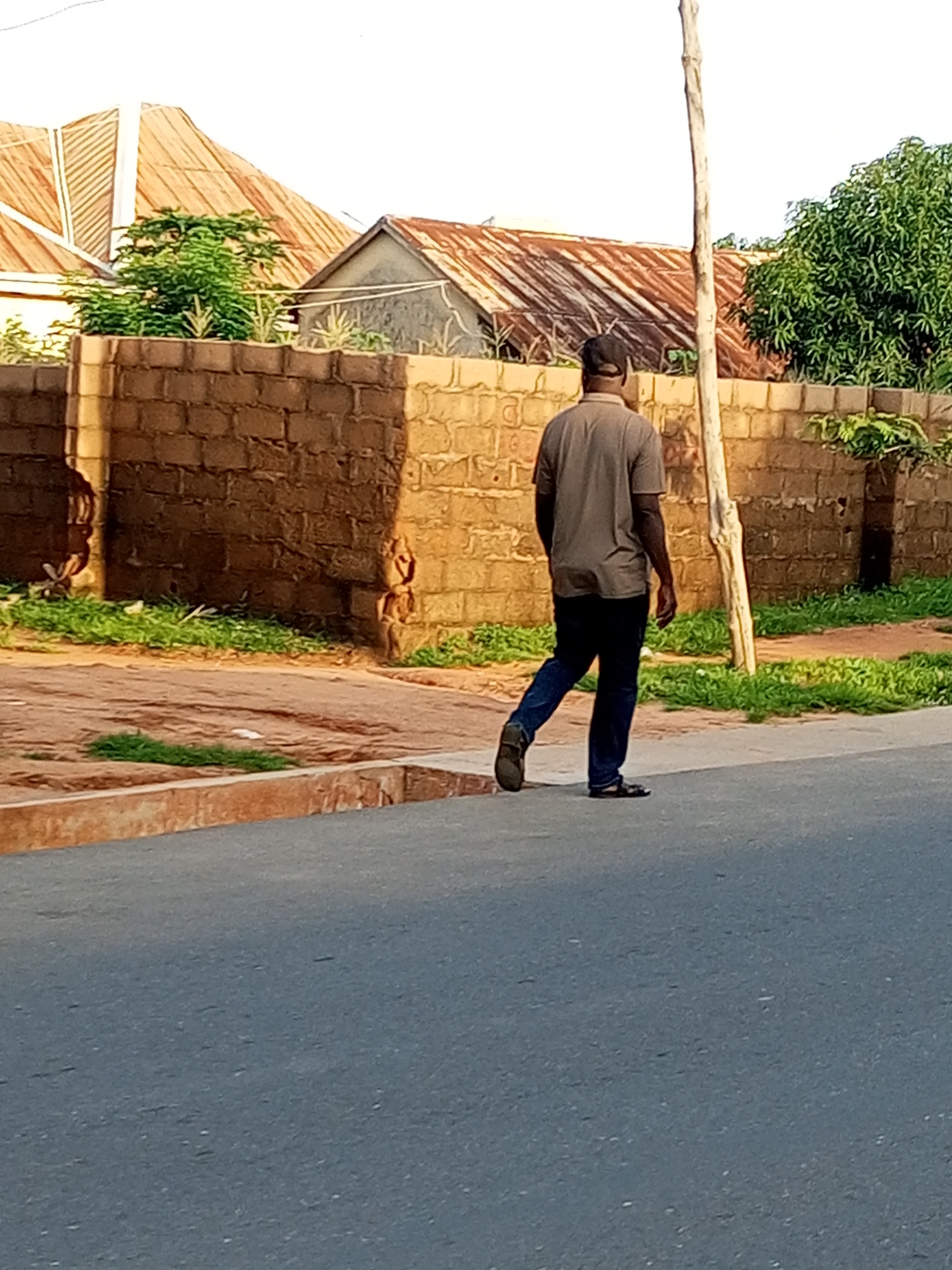 A man wearing a grey t-shirt and dark blue trousers walks away from the camera on a paved road. He is wearing dark sandals. Behind him, a low, rough-hewn brick wall runs horizontally across the frame. Beyond the wall, there is lush green grass, a tall, thin, dead tree trunk, and two buildings with rusted corrugated metal roofs. One building has a pointed, beige-colored roof with horizontal striations, and the other has a more traditional peaked roof. In the far right of the frame, there is a large, dense green tree. The scene appears to be located in Gombe, Nigeria, given the architectural style of the buildings and the vegetation. The lighting suggests it is daytime, possibly late afternoon, with warm tones illuminating the brick wall and roofs.