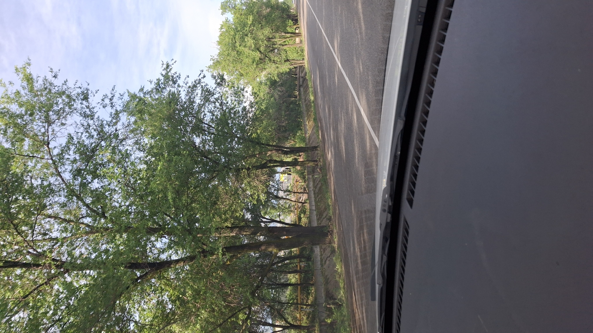 The image depicts a view from inside a vehicle, looking out onto a road lined with trees. The road has a white line marking its center. The sky is visible through the trees, with light blue hues and some clouds. On the right side of the image is a portion of the vehicle's interior, including part of the dashboard and air vent. The location is presumably in or near the city of Түзусай, Kazakhstan, based on the prompt's instructions. However, there are no specific features within the scene that explicitly confirm this location.