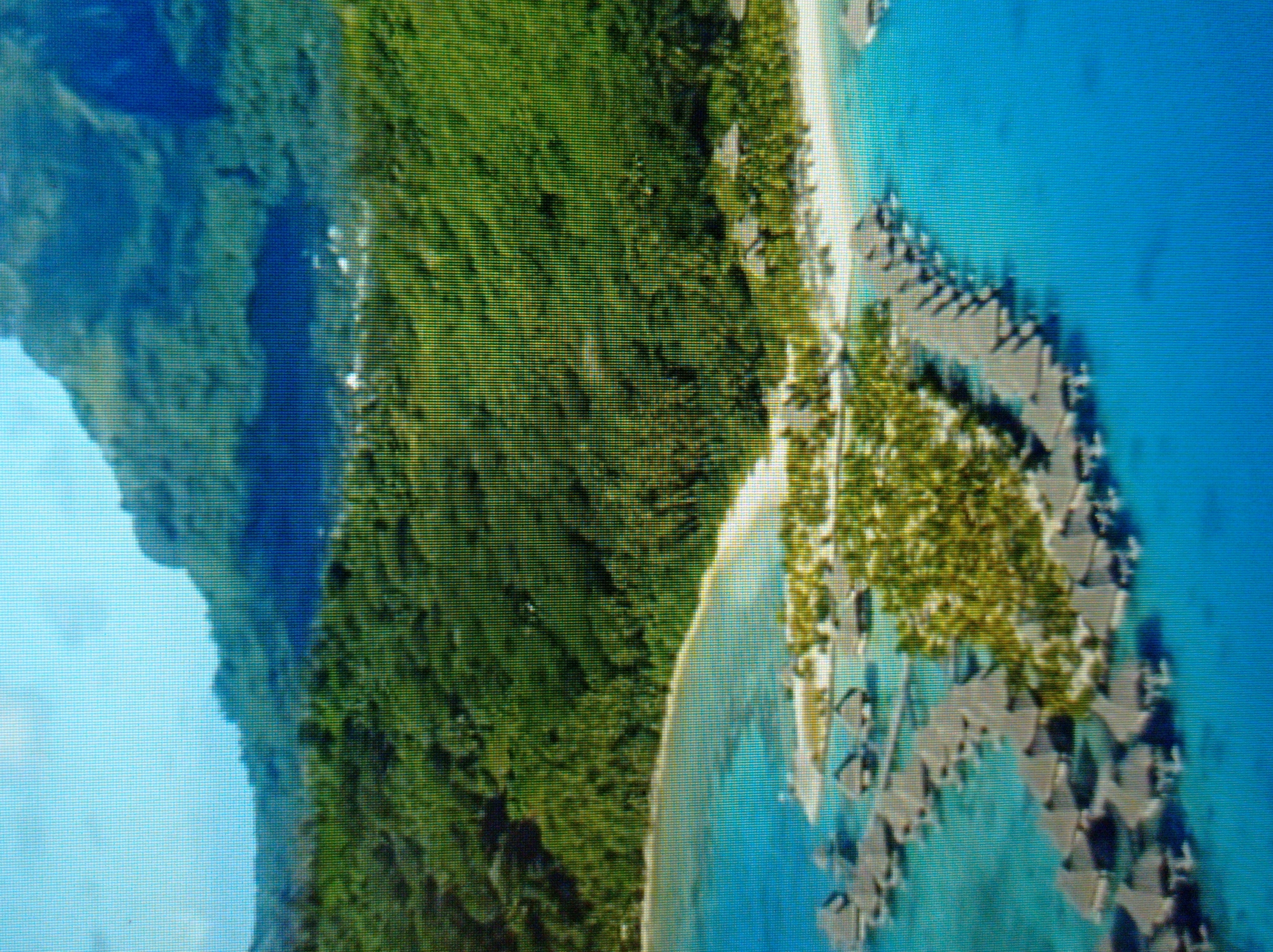 The image depicts an aerial view of a tropical resort. In the foreground, a cluster of overwater bungalows with thatched roofs are built on stilts over clear turquoise water. These bungalows are arranged in rows, extending into the water. Behind the bungalows, a sandy beach is visible, lined with palm trees and lush green vegetation. Further inland, a dense, mountainous forest covers the landscape, with a hazy, indistinct village or settlement visible in the distance. The sky is a pale blue with some clouds. The image does not contain any elements that suggest it is located in Mukachevo, Ukraine; the scenery is characteristic of a tropical island destination.