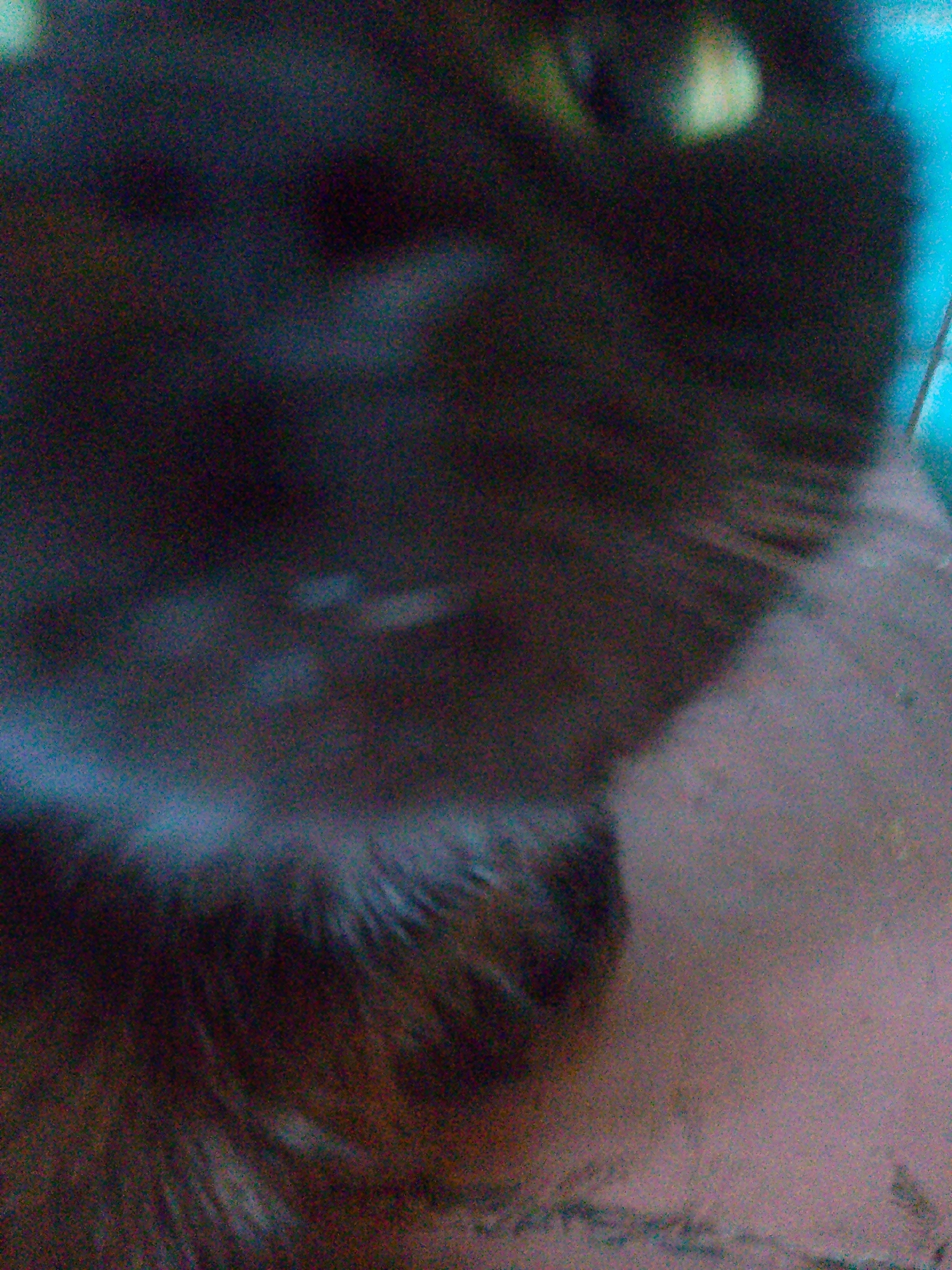 The image is a close-up, out-of-focus shot of what appears to be the fur of an animal, possibly a dog. The fur is dark brown or black with some lighter, whitish hairs visible, particularly around what might be the animal's muzzle or chin. The background is blurred and indistinct, with patches of light and dark tones, and a hint of blue in the upper right corner. The overall impression is one of low lighting and a lack of clear detail, suggesting the photo was taken in low light conditions or with a poor quality camera. There is no discernible location in the city of Хрестівка, Ukraine, or any other environmental context visible in the image.