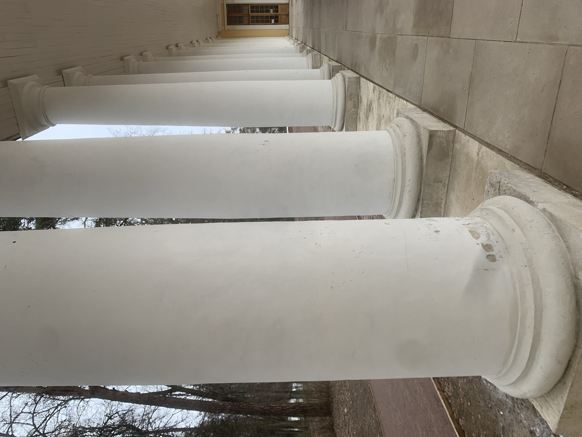 A ground-level, slightly tilted perspective shot showcases a row of white columns along a covered walkway. The columns appear to be cylindrical in shape and are positioned progressively smaller in the distance. The walkway is paved with gray tiles, and a beige-colored wall runs along the side, separated from the columns by a raised edge.
In the background, a wooden door with glass panes can be seen. Beyond the columns, a view of trees and the sky is visible. The overall lighting suggests an overcast or daylight environment.
Based on the location information, the image appears to be taken at the State Museum Estate Arkhangelskoye near Moscow, Russia.