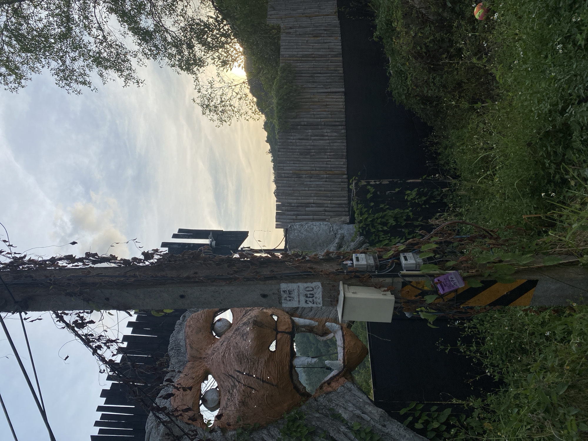 The image shows an outdoor scene in Moo 2, Thailand. A utility pole, adorned with a large, carved wooden face, stands prominently. The face features hollow eyes and an open mouth, providing a view through to the background. The pole is covered in vines, obscuring some of its features, including meters and warning signs. A bamboo fence and lush vegetation are visible in the background, along with a partly cloudy sky. The sun is visible through the trees.