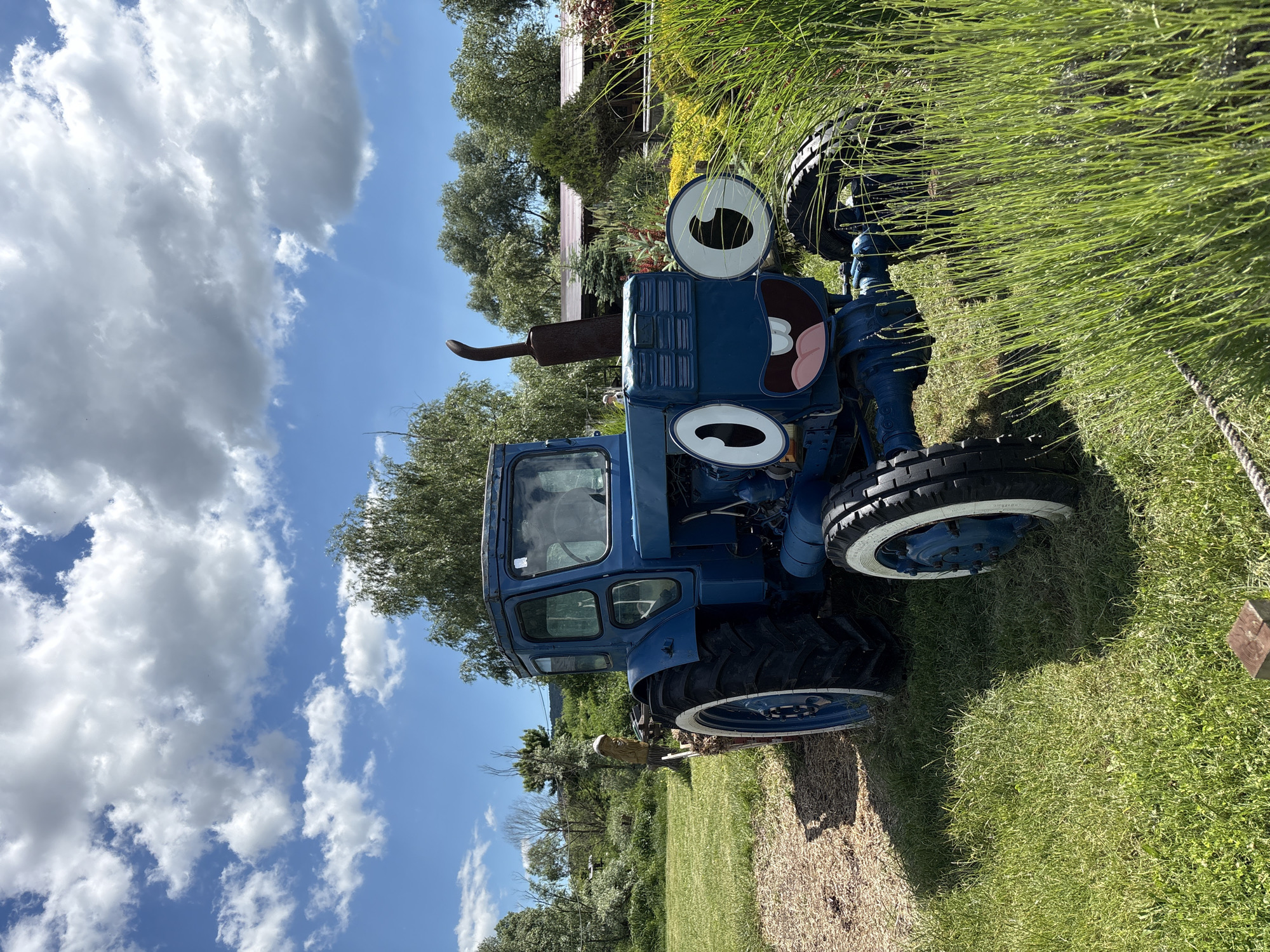 A vibrant blue tractor, whimsical in appearance, stands prominently in a sunlit outdoor setting. The tractor's front has been artfully modified to resemble a cartoon face, featuring large, round, white-rimmed eyes with black pupils, and a wide-open mouth with pink lips and a red tongue playfully sticking out. A rusty exhaust pipe extends upwards from the engine bay, to the left of the 'face'. The tractor has rugged black tires, with the smaller front tires featuring white sidewalls and blue hubs.
The scene is dominated by lush greenery. Bright green grass fills the foreground and extends into the midground. Behind the tractor, a dense collection of trees and various shrubs creates a vibrant green backdrop. The sky above is a clear, bright blue, adorned with scattered fluffy white cumulus clouds, suggesting a pleasant and sunny day. Strong shadows indicate bright daylight, likely midday or early afternoon. No people are visible in the image. The setting suggests a well-maintained garden, park, or agricultural display, possibly in the Gay-Kodzor region of Russia, where the tractor serves as a decorative, cheerful attraction. No legible text is visible on the tractor or in the surroundings.