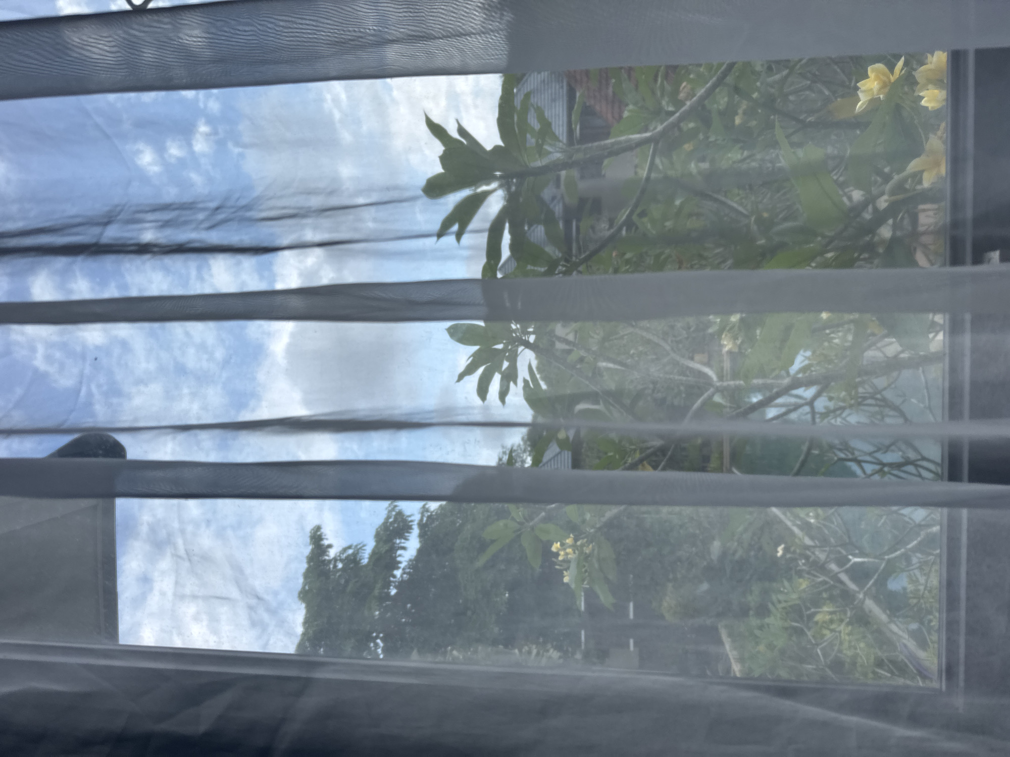 The image displays an outdoor scene viewed through translucent white and grey striped blinds or sheer curtains, suggesting an interior perspective looking out a window. The original image appears to be rotated, but when viewed upright, horizontal opaque strips alternate with translucent sections, offering glimpses of the outside.
Through the translucent material and gaps, a bright blue sky with scattered white, fluffy clouds is visible at the top. The midground and background are dominated by lush green foliage from various trees and plants. Several branches extending into view bear small, light yellow flowers, characteristic of tropical flora like plumeria or frangipani. A partial view of a building with a corrugated metal roof can be discerned behind the dense greenery on the right side.
The time of day appears to be daytime, likely morning or afternoon, given the clear, bright sky and visible sunlight. The weather seems pleasant and sunny with some cloud cover. No people or specific activities are depicted, emphasizing a tranquil observation of the natural surroundings. The tropical vegetation and the given location context of Kuta Selatan, Indonesia, align with the visual cues. There is no visible text in the image.