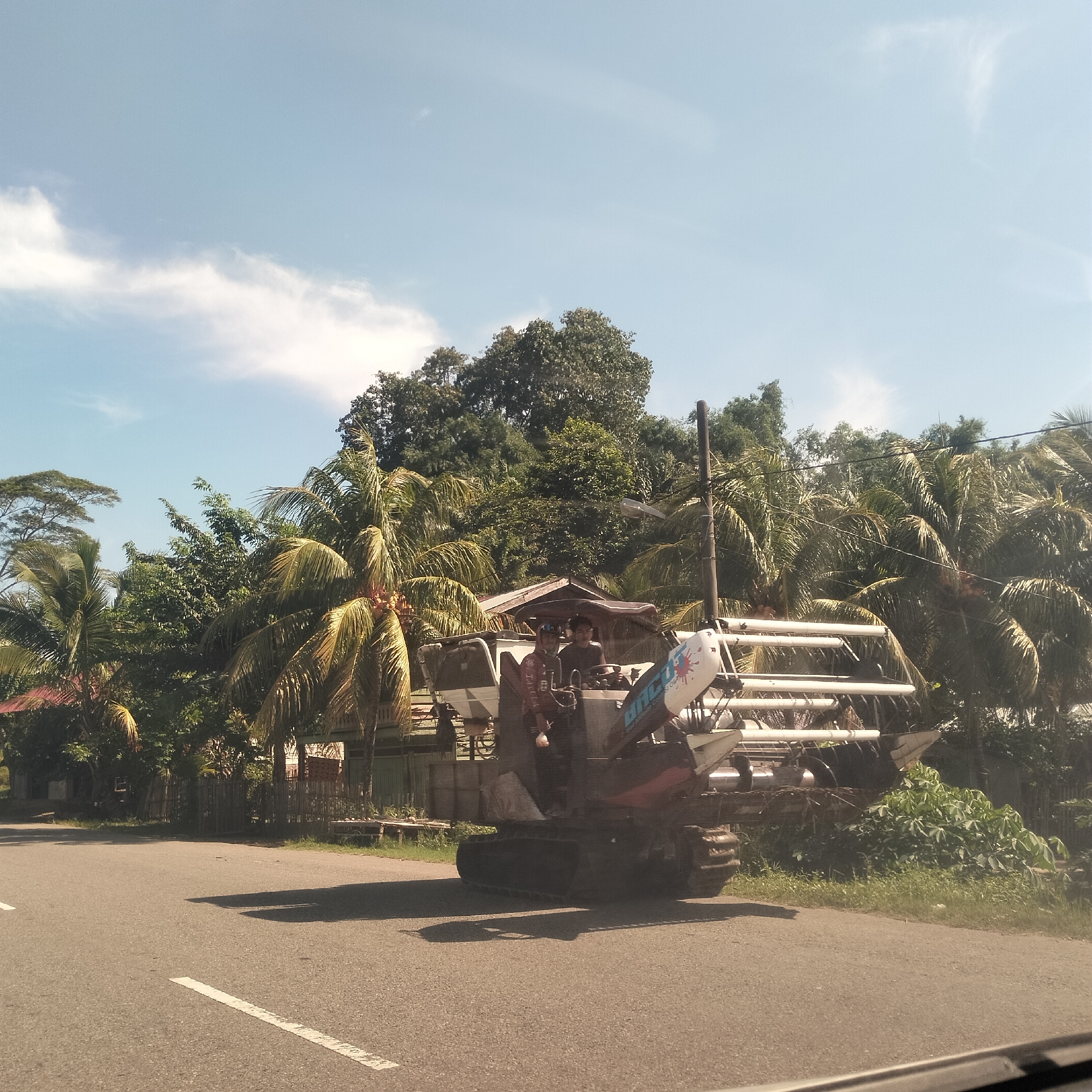 The image captures a daytime scene featuring a combine harvester with two men on board, positioned on the side of a paved road. The machinery, equipped with tracks rather than wheels and a prominent harvesting mechanism, appears to be stopped or moving slowly. One man is seated at the controls, while another stands near him.
The background is dominated by lush, tropical vegetation, including numerous tall palm trees and dense green foliage, suggesting a rural or semi-rural setting. Small, simple structures, likely houses or sheds with wooden elements and corrugated roofs, are partially visible behind the trees and the machine. A utility pole with a street light stands on the right side, with overhead power lines.
The sky is clear and bright blue with scattered, wispy white clouds, indicating sunny weather. Strong, distinct shadows are cast on the asphalt road by the combine harvester, suggesting it is mid-morning or early afternoon. The road has a single faded white line on its left edge.
A notable detail is the word "BINGO" emblazoned on the side of the combine harvester in a colorful, splash-like font. Other text is present but illegible. The photograph seems to have been taken from a low angle, possibly from inside a moving vehicle. The tropical environment and agricultural machinery align with the provided location context of Cotentung, Indonesia.