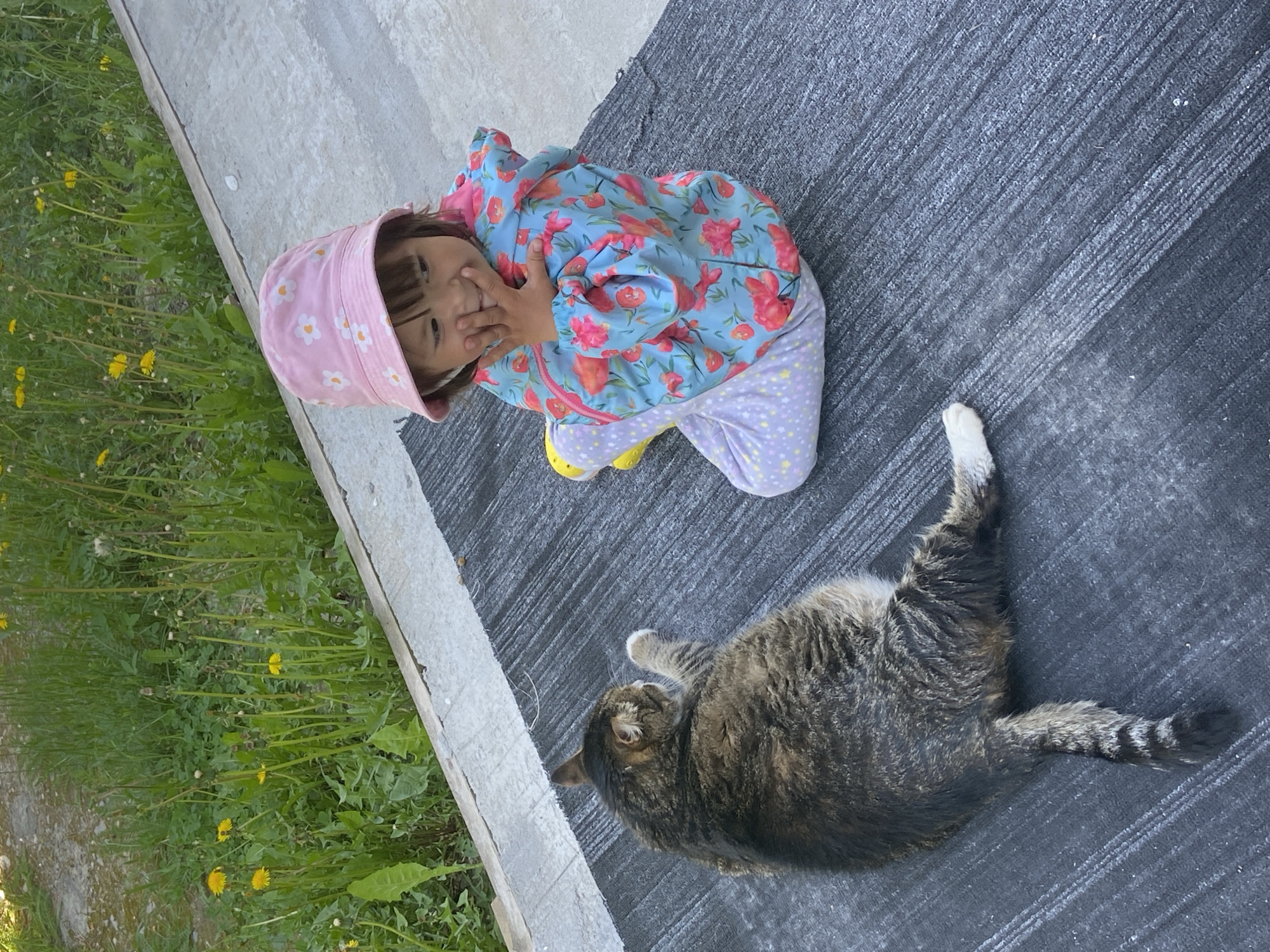 A young child in a pink floral hat, blue floral jacket, and purple spotted pants kneels on a textured dark gray surface outdoors. They cover their mouth with their hand and appear to be smiling. Next to them is a large tabby cat lying on its side, paws extended, and tail twitching. The location appears to be a backyard or garden area near a concrete edge, with green grass and yellow dandelions growing along the side. The image was taken outdoors in a well-lit environment, suggesting a sunny day. The location is unknown and there is no evidence to suggest that the location is in the city of Tyumen, Russia.