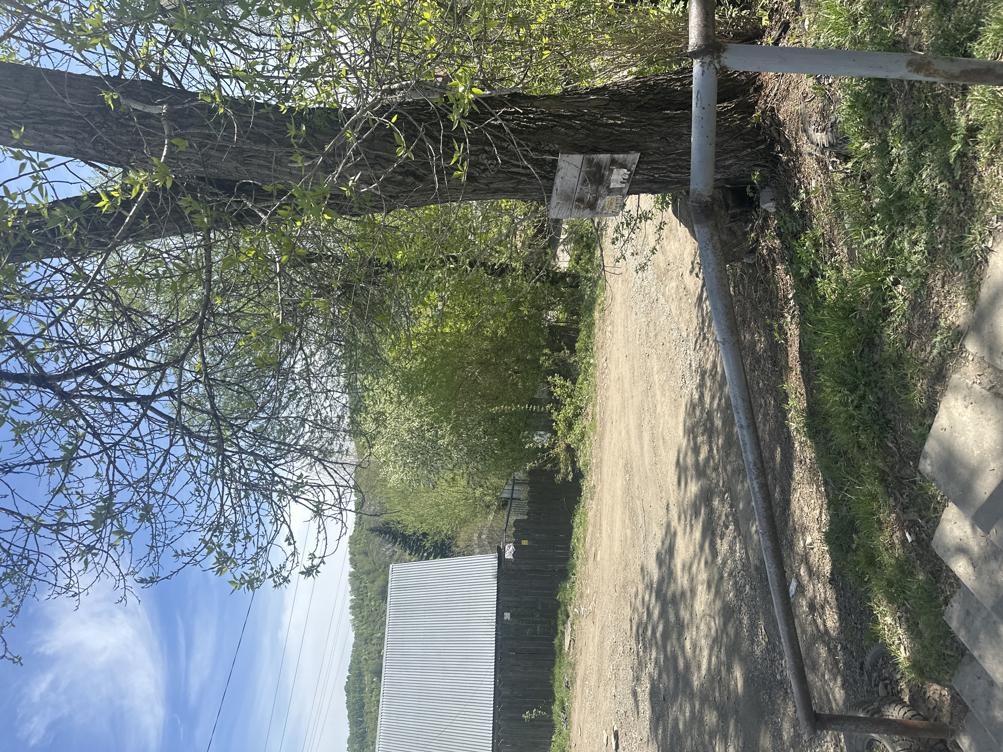 The image depicts a dirt road or path located in an area with trees and vegetation. A large tree stands beside the road, with a possible sign attached to its trunk. A building with a corrugated metal roof is visible in the background, along with trees and hills. The sky is visible with clouds and power lines. The image is likely taken outdoors in a rural or semi-rural area near Gorno-Altaysk, Russia. There are no people visible in the image. There is metal fencing and a metal structure near the road. The overall scene is one of a natural setting near a man-made structure.