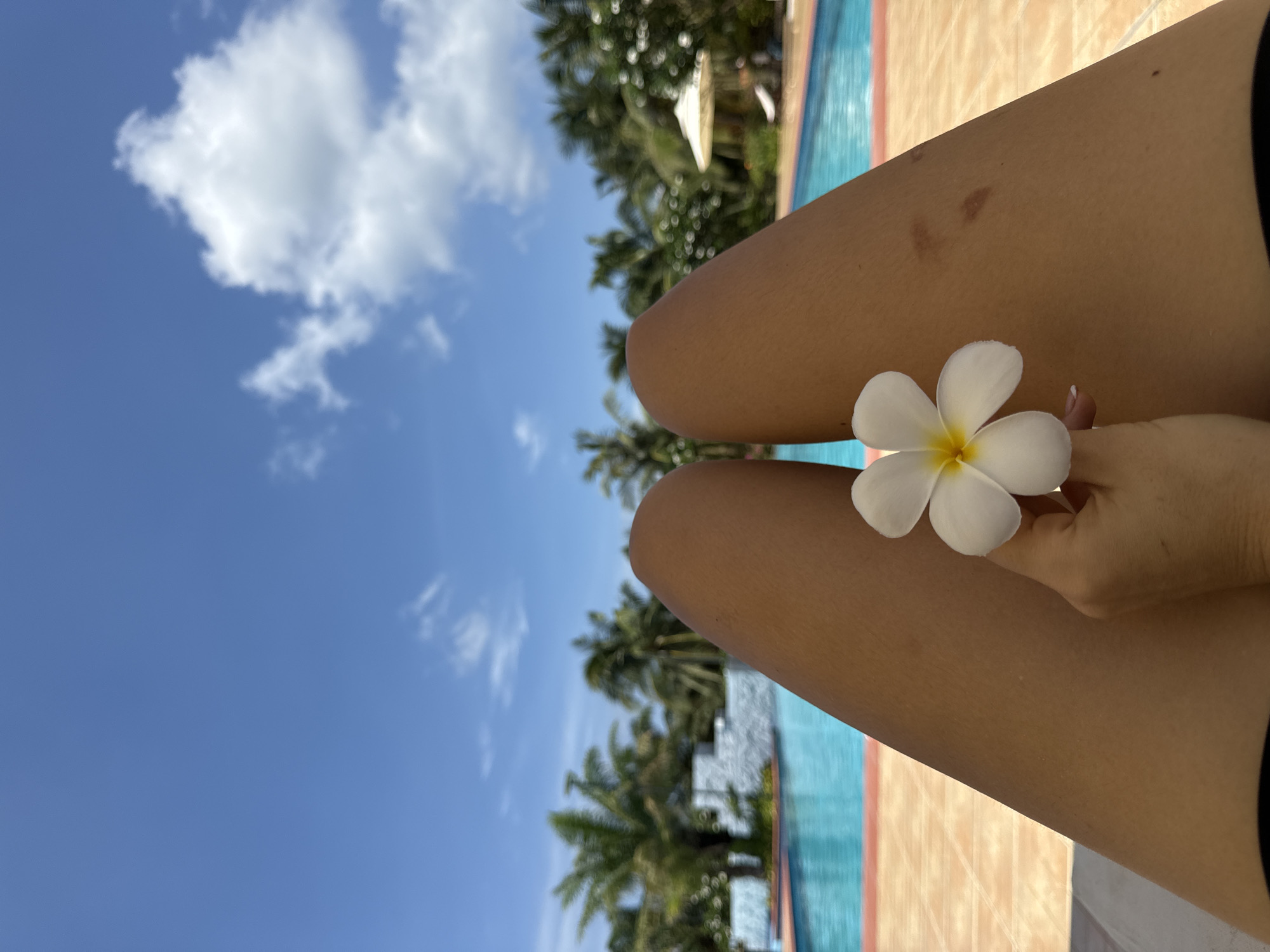 The image captures a first-person perspective view of a person's legs and hand holding a white plumeria flower with a yellow center. The legs, tanned, extend from the bottom of the frame, with the hand resting on the right thigh. Visible marks or scars are present on the right leg. In the midground, a clear blue swimming pool with reddish-orange tiled edges is visible, surrounded by terra cotta-colored pavement. The background reveals a vibrant tropical environment featuring numerous green palm trees and flowering shrubs under a bright blue sky dotted with white cumulus clouds. A white sun umbrella is partially visible on the right side of the pool area, and white architectural elements are present further in the background. The scene depicts an outdoor setting under bright daylight in Phu Thuy Ward, Vietnam.