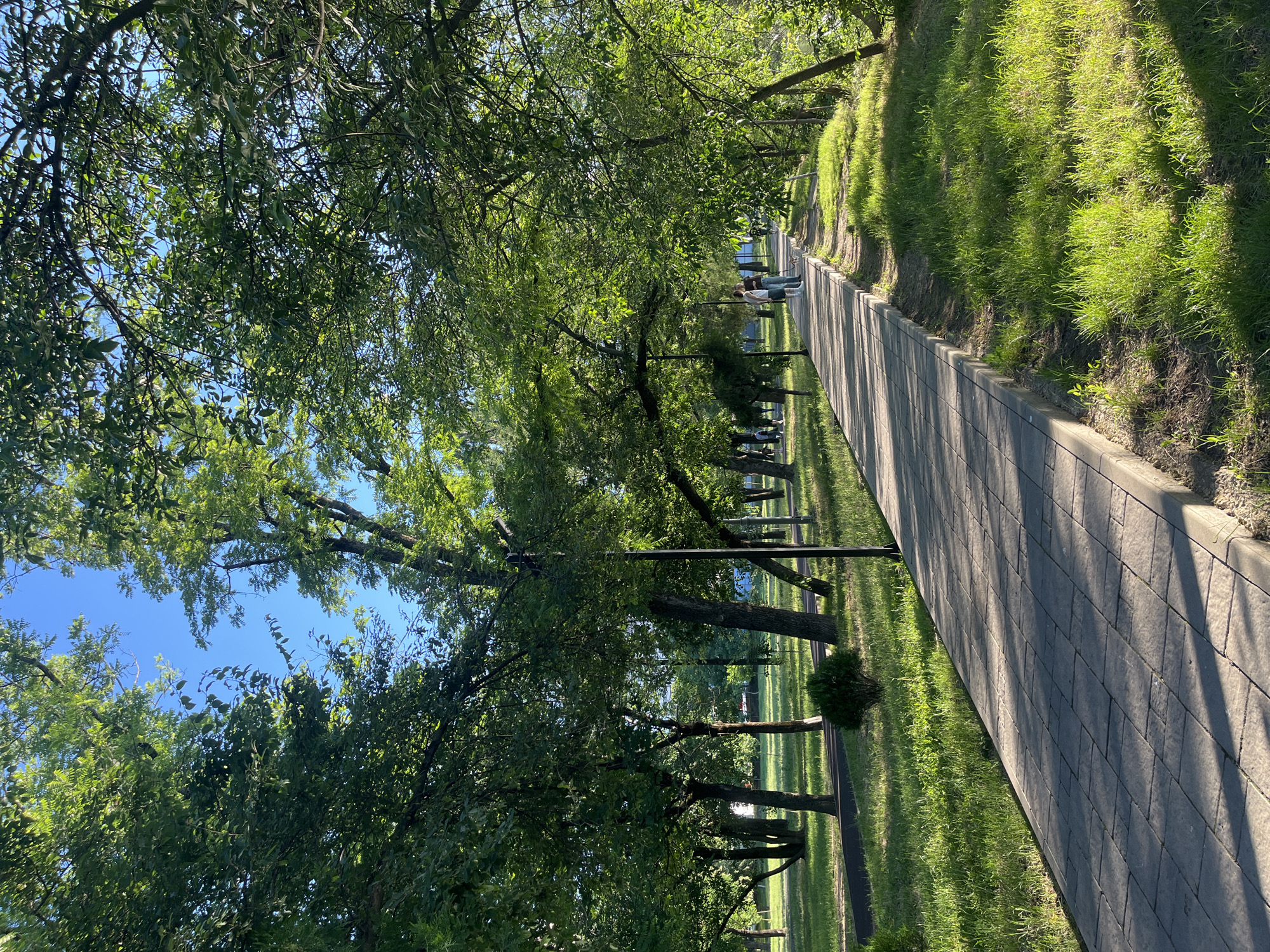 This image depicts a paved pathway curving through a park in Krasnodar, Russia. The pathway is bordered by well-maintained green grass and surrounded by lush green trees, creating a shaded and serene environment. The sun is casting dappled shadows on the pathway, indicating it is likely late afternoon or early morning. Two individuals, a man and a woman, are seen walking along the path in the distance, accompanied by a small dog on a leash. The trees are dense and full of leaves, suggesting the photograph was taken during the warmer months. Several lampposts are visible along the pathway, hinting at the park's use after dusk. The sky is clear and blue. The overall scene suggests a peaceful, everyday moment in a public park.