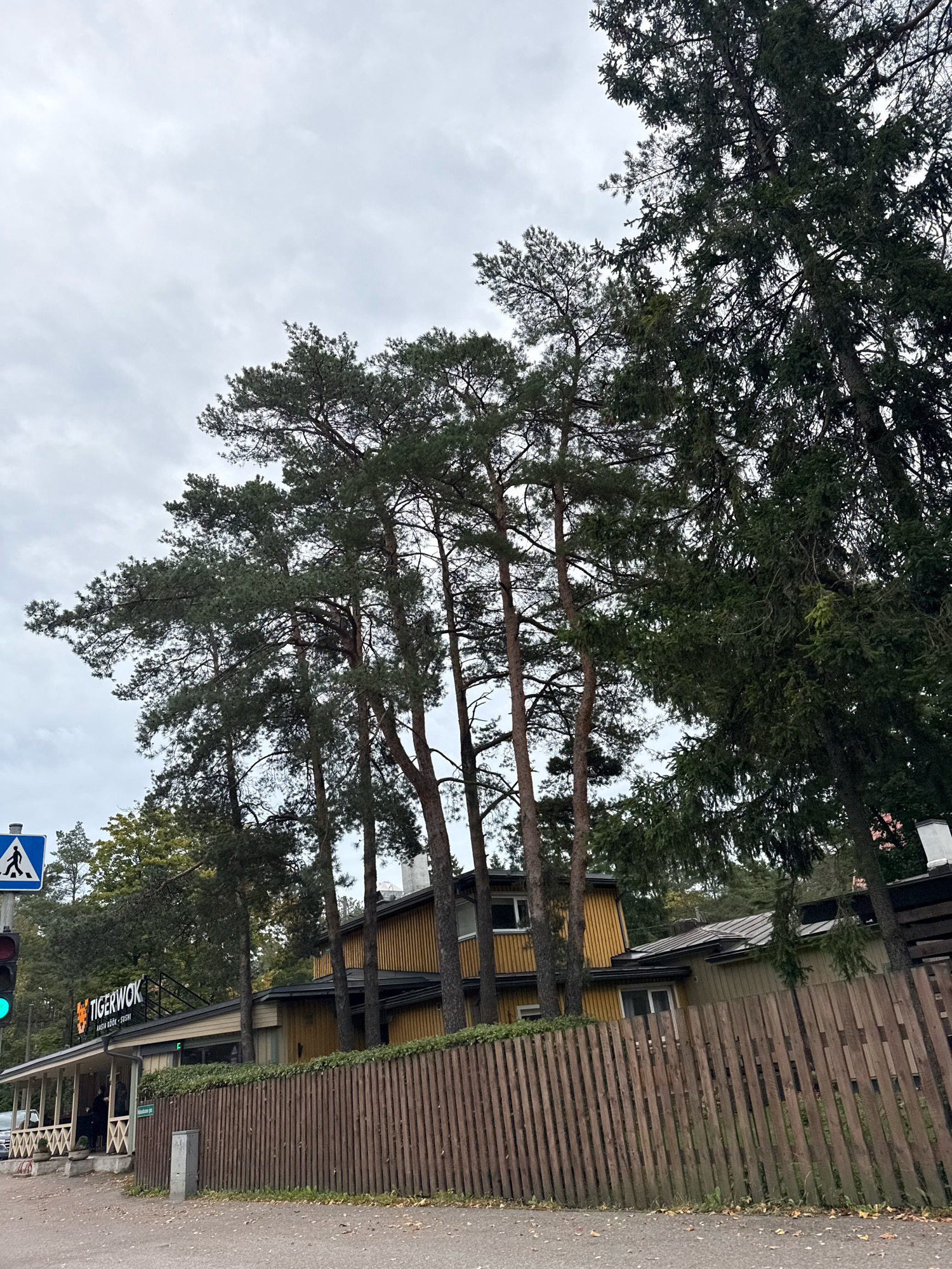 The image depicts a street-level view of a restaurant named "TIGERWOK" with the tagline "Aasia Köök - Sushi". The restaurant appears to be a single-story building with a yellow facade and a covered porch area. A wooden fence runs along the front of the property, separating it from the street. Tall pine trees and other foliage are present, with some obscuring parts of the building. A pedestrian crossing sign and a traffic light are visible on the left side of the image. The sky is overcast. The scene suggests an outdoor setting in a built-up area, likely a city. Based on visual cues and the presence of "Aasia Köök - Sushi" which is Estonian for "Asian Kitchen - Sushi," the location is identified as Tallinn, Estonia. There are no visible actions or interactions among people, and the scene appears to be captured during daylight.