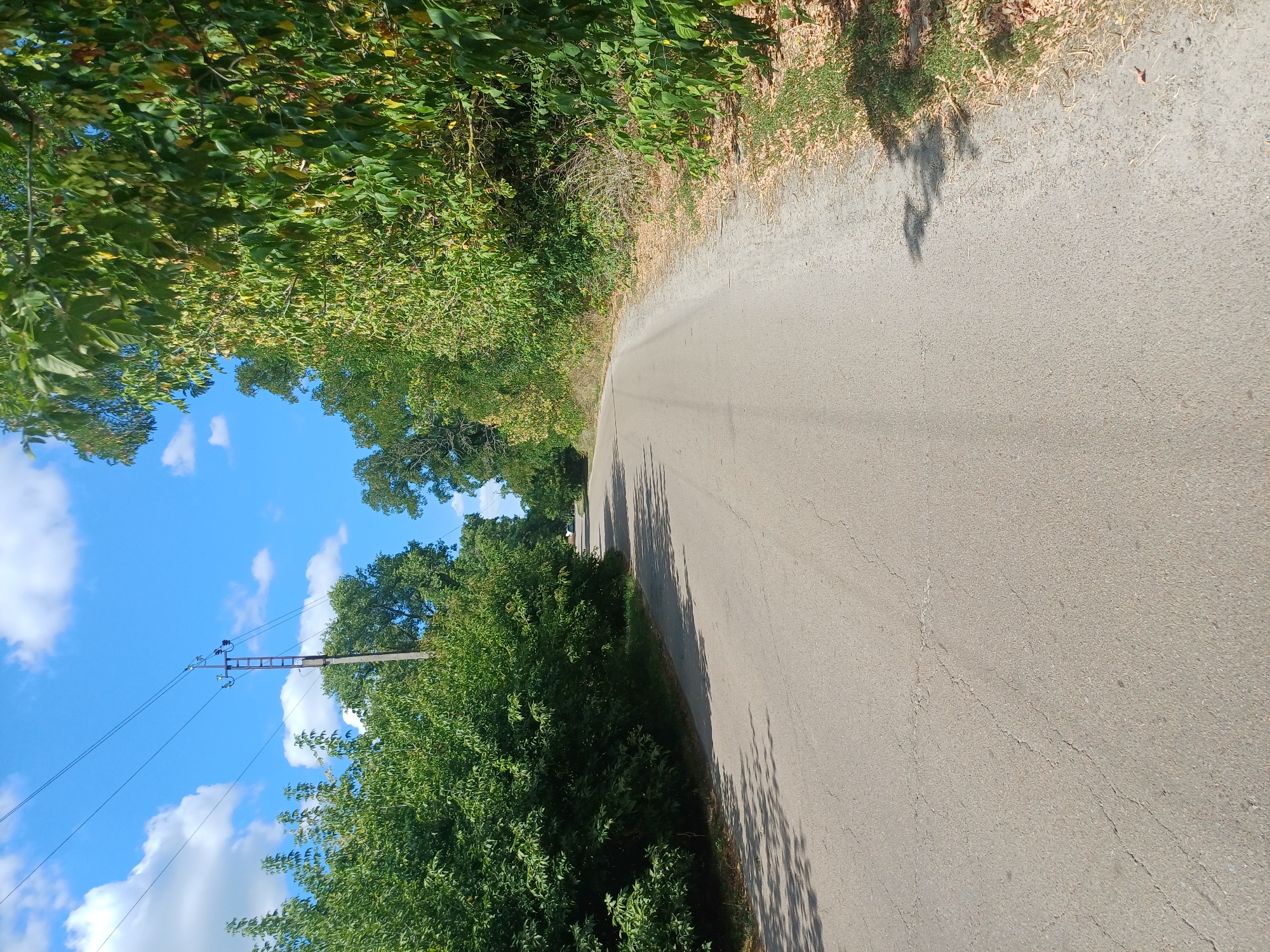 The image depicts an asphalt road winding through a rural landscape under a bright blue sky with scattered white clouds. Lush green trees line both sides of the road, with some foliage on the right showing hints of yellow and brown. Power lines supported by a utility pole are visible in the distance on the left. The road surface shows some signs of wear and cracking. The overall impression is of a sunny day in a natural, undeveloped area, likely in the countryside. The scene is characteristic of a roadway in a rural Ukrainian village like Sulymivka, Ukraine, which often features such tree-lined roads and utility infrastructure. There are no people or vehicles immediately visible in the frame.