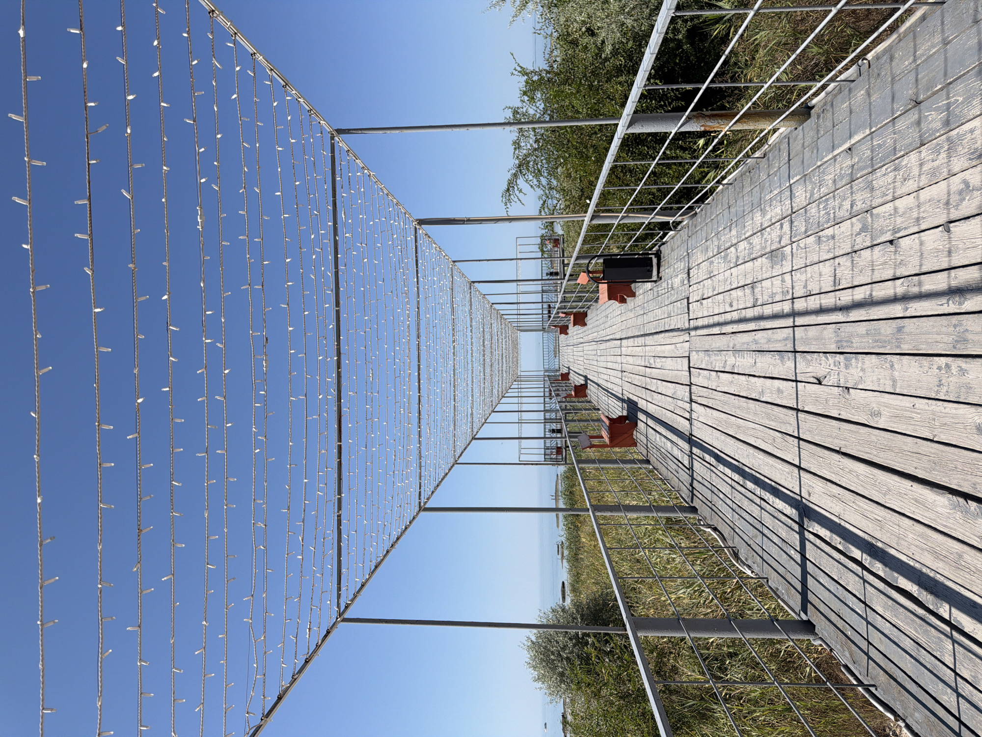 The image shows a long, wooden pier extending into the distance. The pier is covered by a metal frame structure adorned with strings of small white lights. The pier has a metal railing on either side, and several red benches are visible along the way. Vegetation, including tall grass and trees, borders the pier on both sides. The background features a calm body of water, likely the Caspian Sea, under a clear blue sky. The scene suggests a scenic overlook or walkway, possibly in a coastal area. This structure is located on the embankment of the Caspian Sea in Aktau, Kazakhstan, offering a view of the sea.