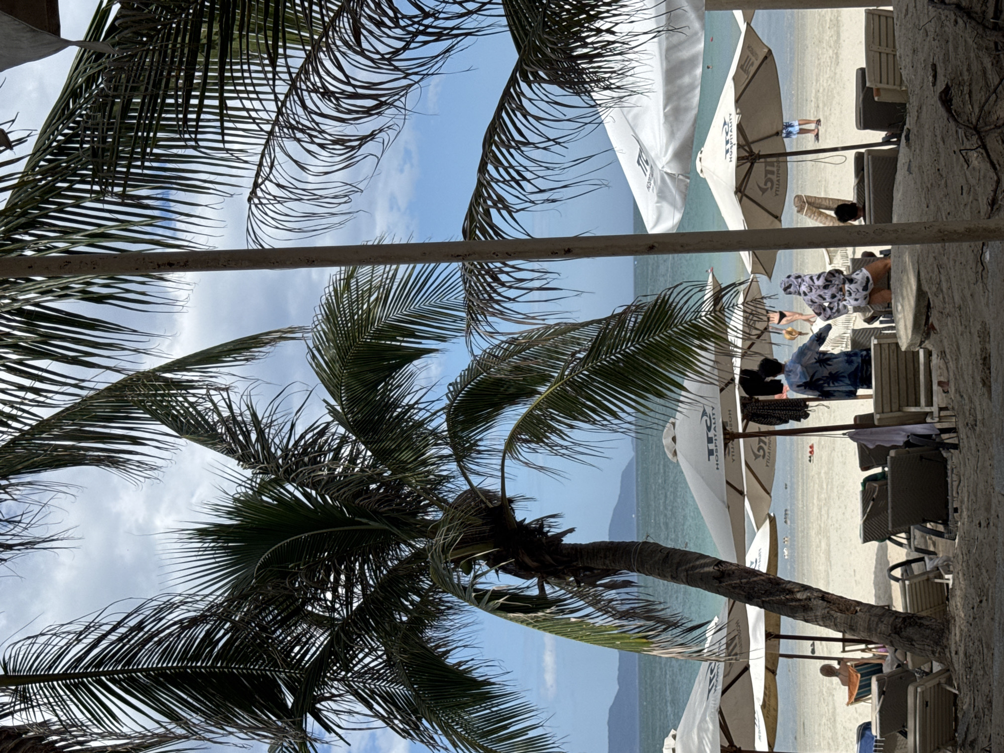 The image depicts a beach scene in Dong Ninh Hoa, Vietnam. In the foreground, several empty lounge chairs are set up on the sandy beach, partially obscured by palm trees. White umbrellas, some with the "TTI HOSPITALITY" logo visible, are open and positioned over the lounge chairs, offering shade. In the mid-ground, several people are visible. One person is seated in a lounge chair facing the ocean, while others are standing or walking on the beach near the water. In the background, the calm ocean stretches towards a distant hazy coastline. The sky is partly cloudy with blue patches. The overall impression is of a relaxed beach resort.