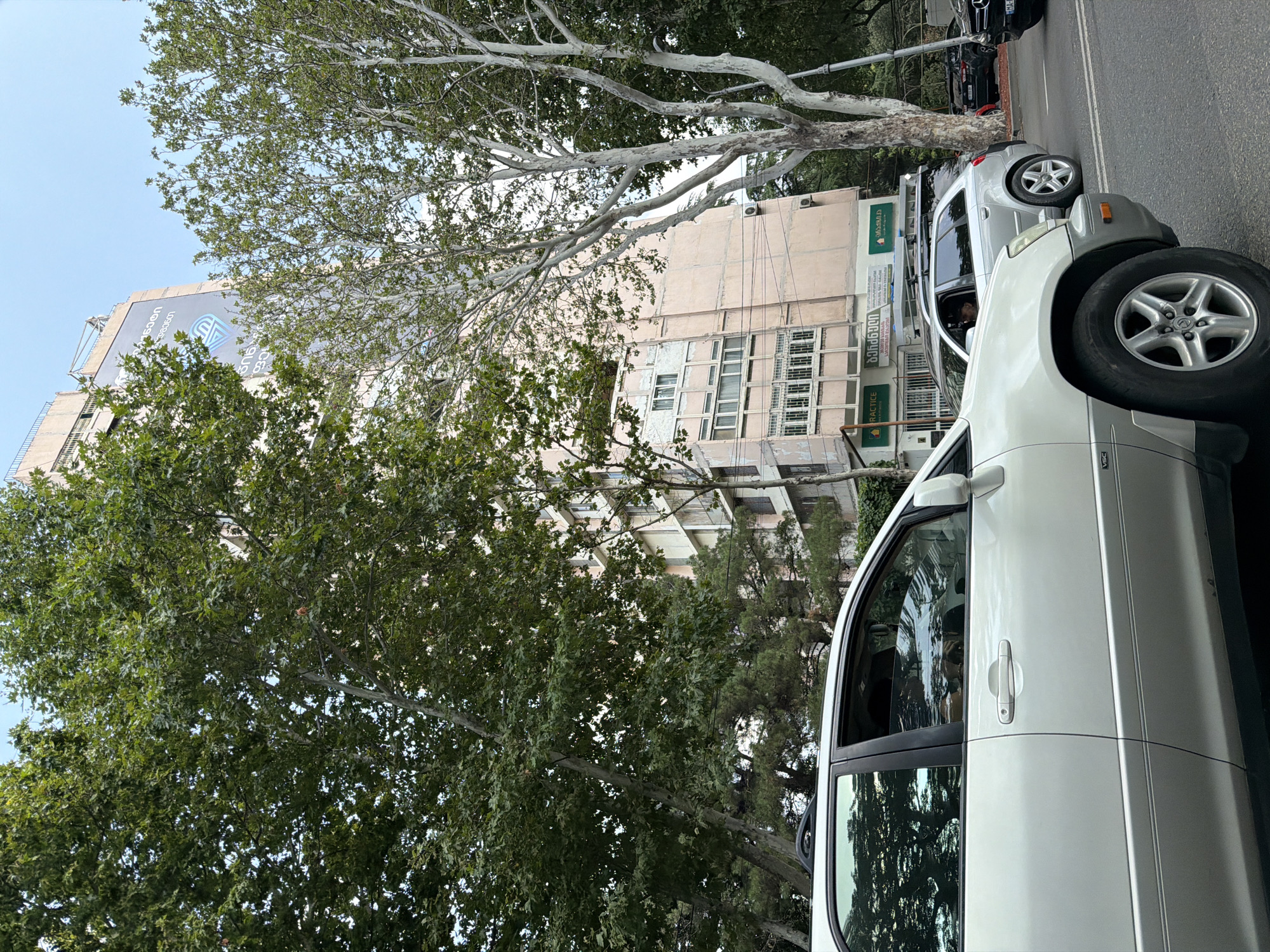 An overcast sky is visible above a street scene in Tbilisi, Georgia. A white SUV is parked on the right side of the frame, partially obscuring the view of a light pink apartment building in the background. The building has a series of balconies and windows. Large trees with dense green foliage are in the foreground and to the left of the building. A silver Audi wagon is also parked on the street, and several other cars are visible in the distance. The overall impression is one of a busy urban environment with lush greenery.