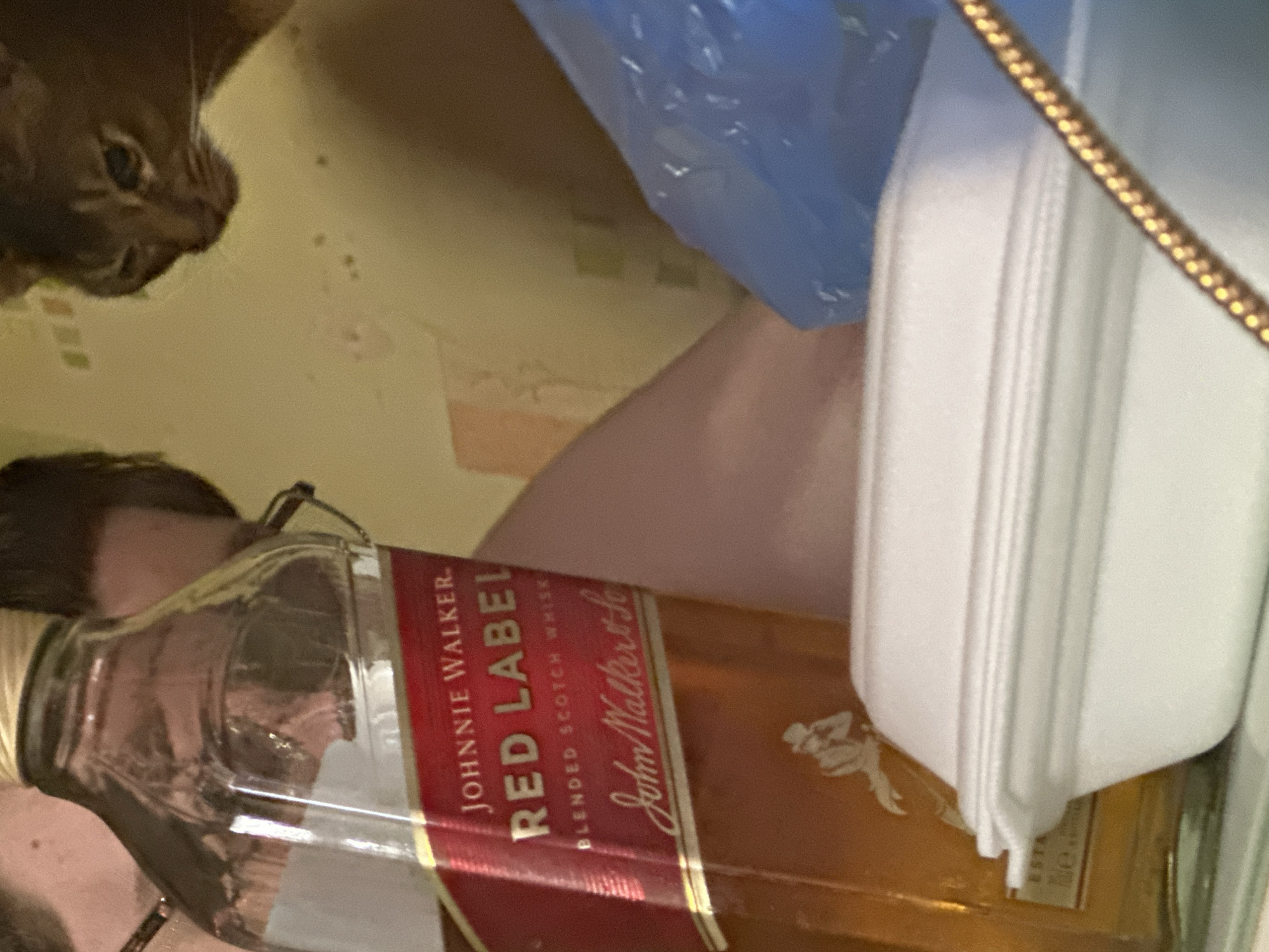 A brown cat is partially visible at the top left of the image. Beneath it, a man with short dark hair and glasses is partially seen. A bottle of Johnnie Walker Red Label blended Scotch whisky dominates the center of the image. Beside the bottle, there is a white styrofoam container and a crumpled blue plastic bag. The location is unknown. The city of Moscow, Russia cannot be inferred from the image. There is no indication of any specific actions or interactions.