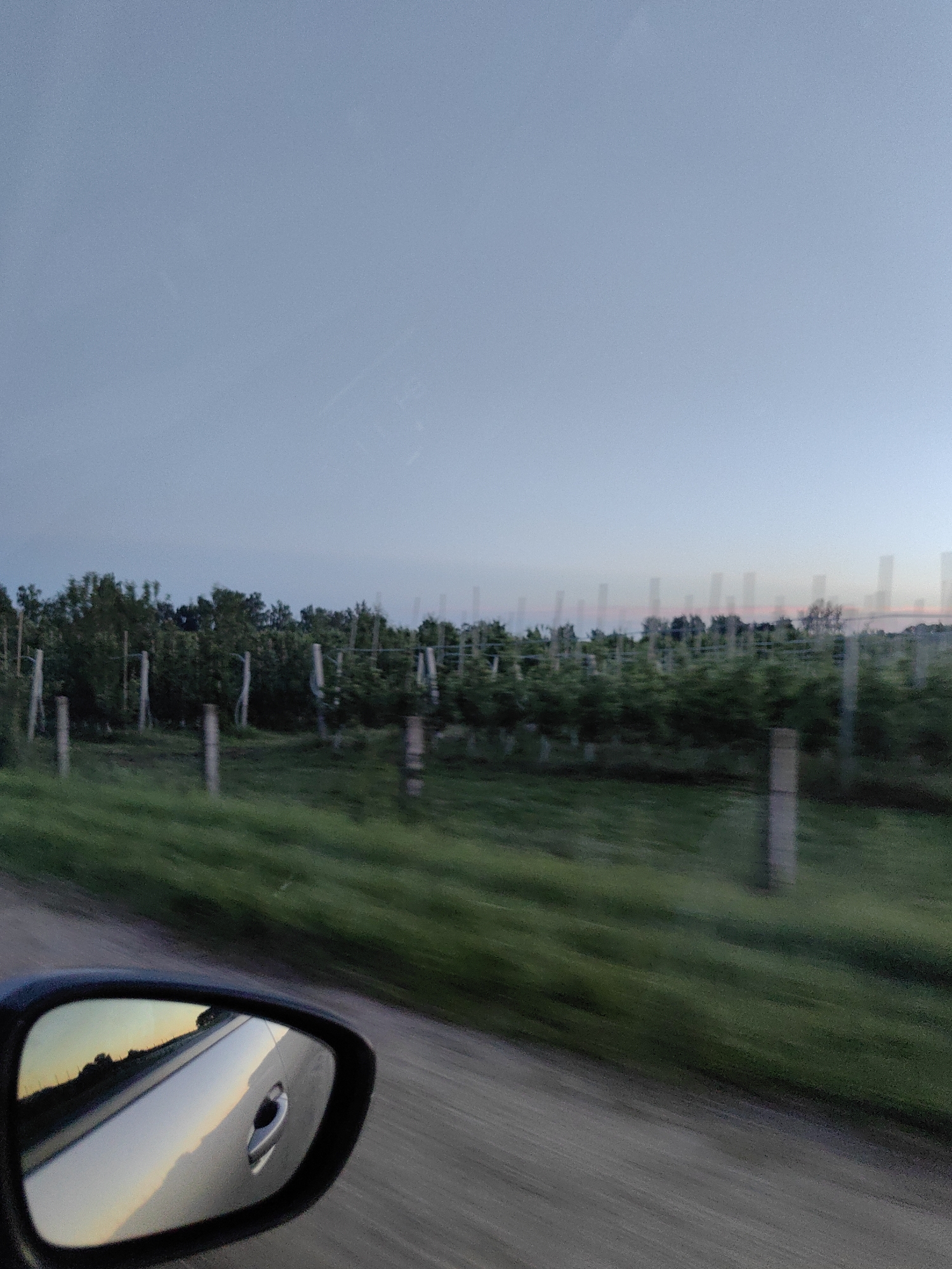 The image depicts a view from a car traveling on a dirt road, likely in the vicinity of Фаніпальскі сельскі Савет, Belarus. In the foreground, a car's side mirror reflects the sky and a portion of the car's body. The main scene shows a field of trees, possibly an orchard or vineyard, with vertical stakes supporting rows of plants. The sky is a soft blue, transitioning to a lighter hue near the horizon, suggesting either dawn or dusk. Green grass lines the edge of the road, and the overall impression is one of a rural landscape during a calm time of day. The motion blur indicates the car is in transit.