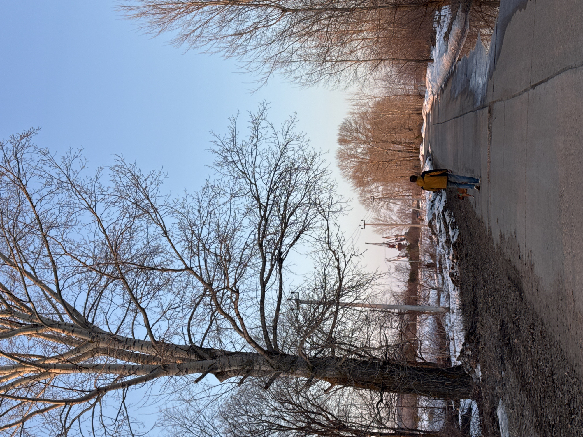 The image depicts a man walking along a road next to snow and bare trees in Chaikovsky, Russia. The sky is light blue. Power lines and construction cranes are visible in the background.