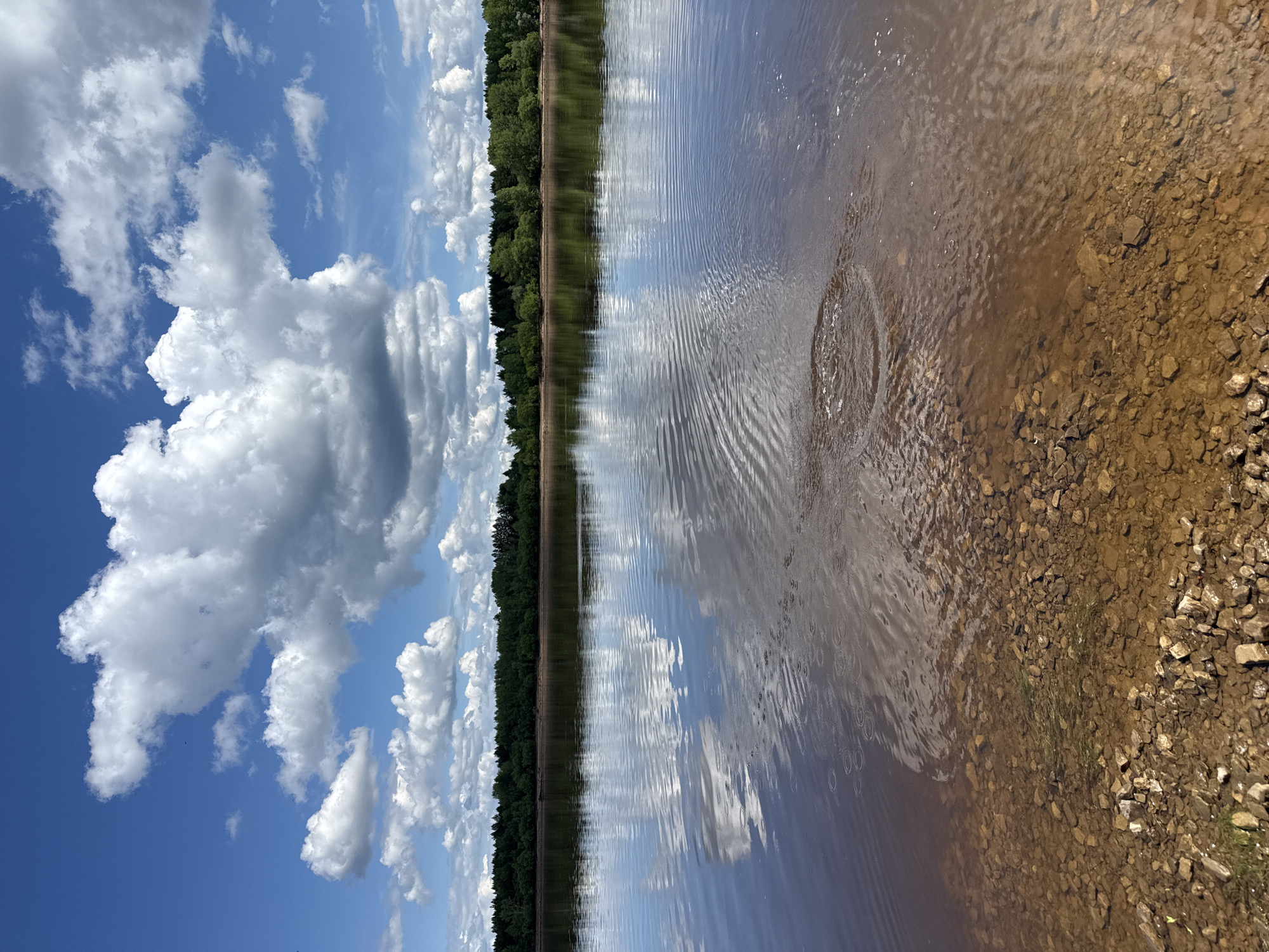 The image depicts a lakeside scene in Sludka, Russia. The foreground shows the water's edge with small rocks and gravel. Ripples are visible in the water, suggesting recent disturbance. Beyond the shoreline, the water reflects the sky. The sky is bright blue with numerous puffy white clouds. A line of trees is visible on the opposite shore.