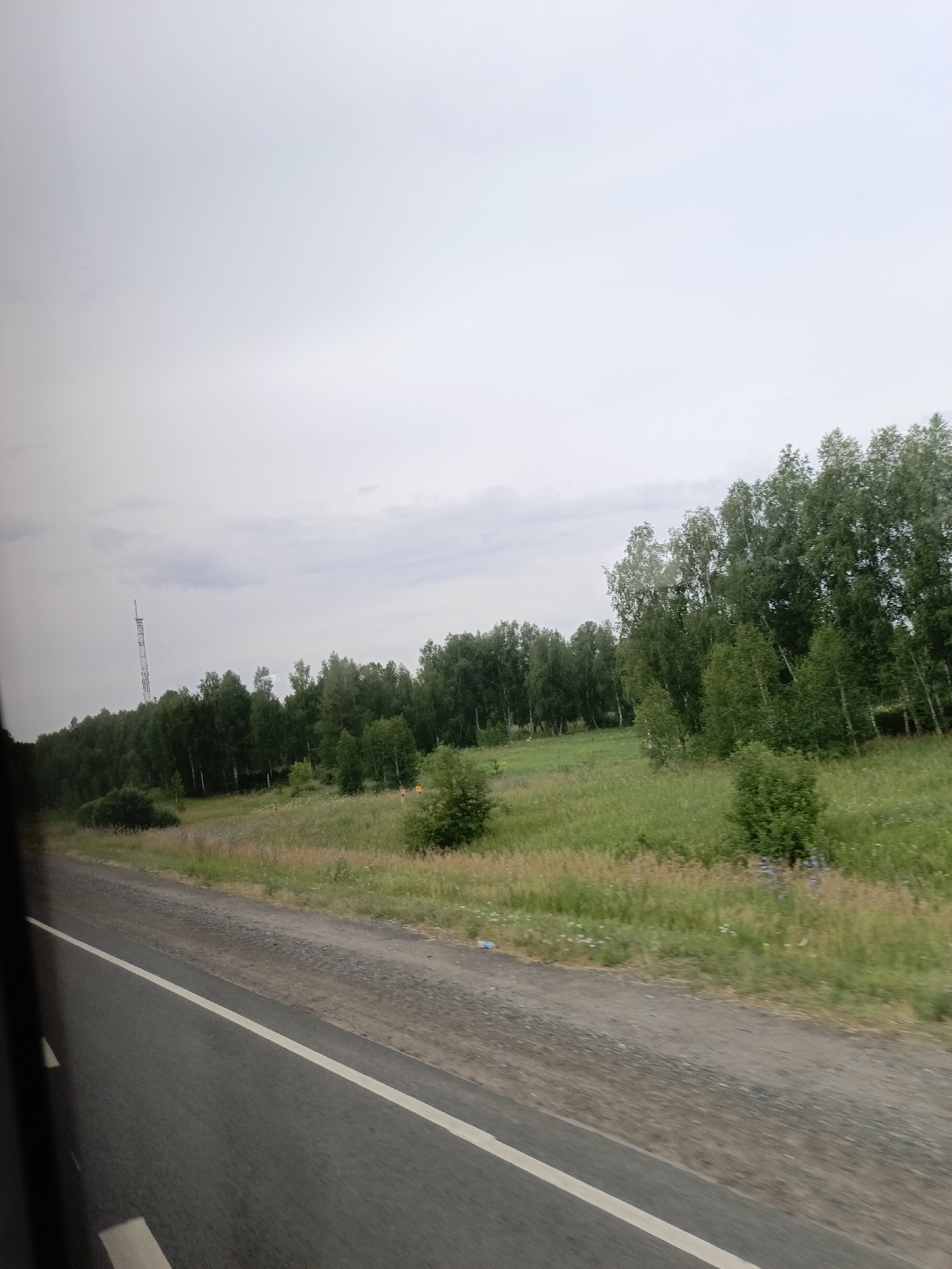 The image depicts a view from a vehicle traveling along a paved road with a white line marking the lanes. The road runs diagonally from the bottom left to the middle right of the frame. To the right of the road is a grassy field dotted with wildflowers. Beyond the field, a dense line of deciduous trees, primarily birch and possibly aspen, stretches across the horizon. In the far distance, a tall lattice tower, likely a telecommunications tower, is visible on the left side of the tree line. The sky is overcast and a uniform light grey. The overall scene suggests a rural or semi-rural landscape in Srednesibirskii, Russia, during daytime. No people or animals are discernible.