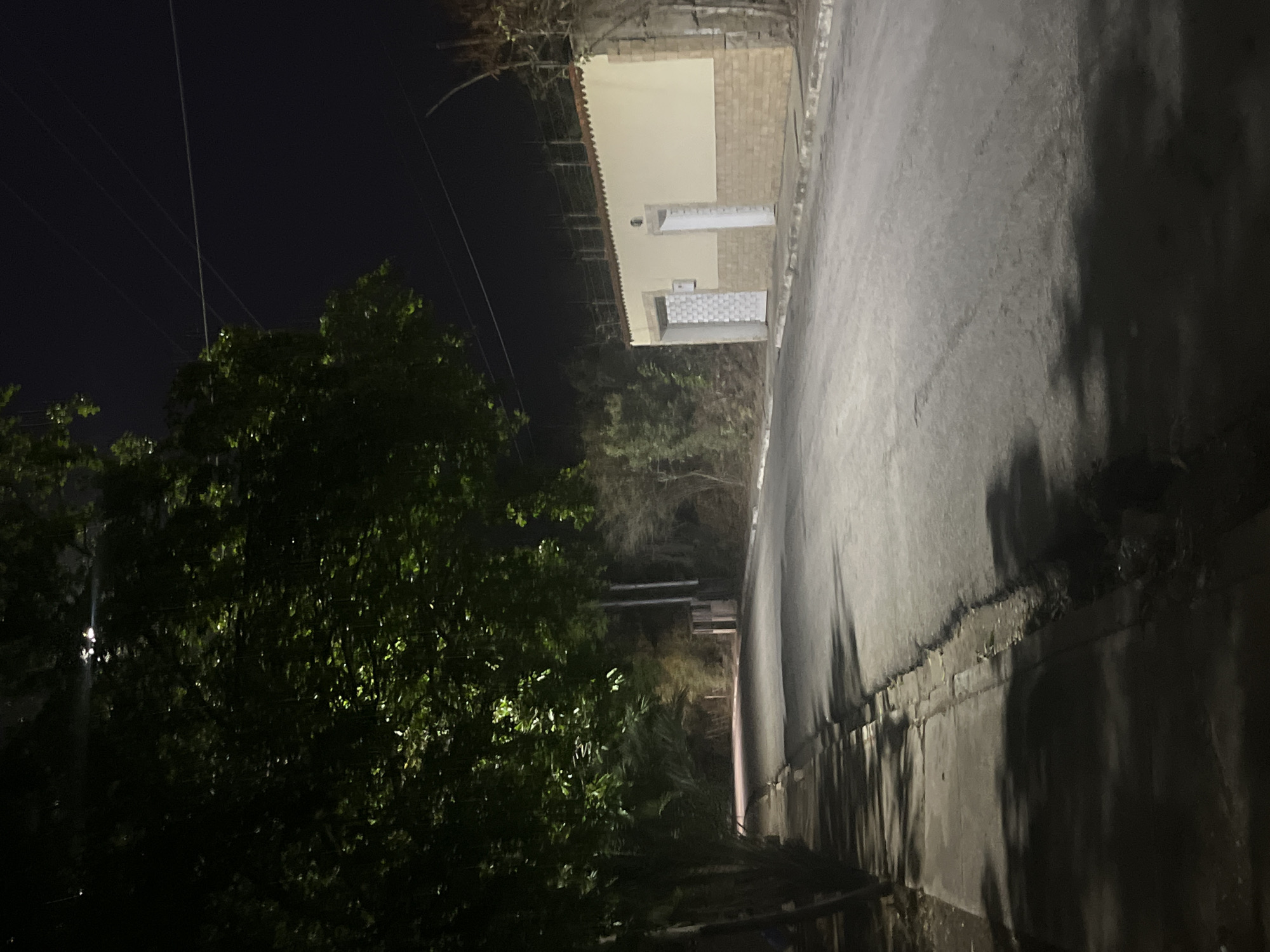 A nighttime photograph captures a quiet residential scene in Santa Ana, Venezuela, viewed as if rotated counter-clockwise for proper orientation. On the right side of the image, a single-story building stands partially illuminated by an unseen light source. It features a light-colored, possibly plastered facade adjacent to a section of light-brown brickwork, topped by a tiled roof edge. Two rectangular, light-colored structures, possibly decorative pillars or small utility enclosures, are visible in front of the building's main wall.
A paved road or pathway occupies the center and extends into the upper-left background. It reflects the artificial light, creating a bright strip that contrasts with the long, dark shadows stretching across its surface, likely cast by trees or utility poles. To the left of the road, a dense mass of green foliage and trees fills the foreground and midground, with some leaves catching the ambient light. The sky above is dark, indicating night, with several utility lines visible traversing the upper-left quadrant. No people or specific activities are observed, and no visible text is present in the scene. The overall atmosphere is still and dark, typical of a quiet street at night.